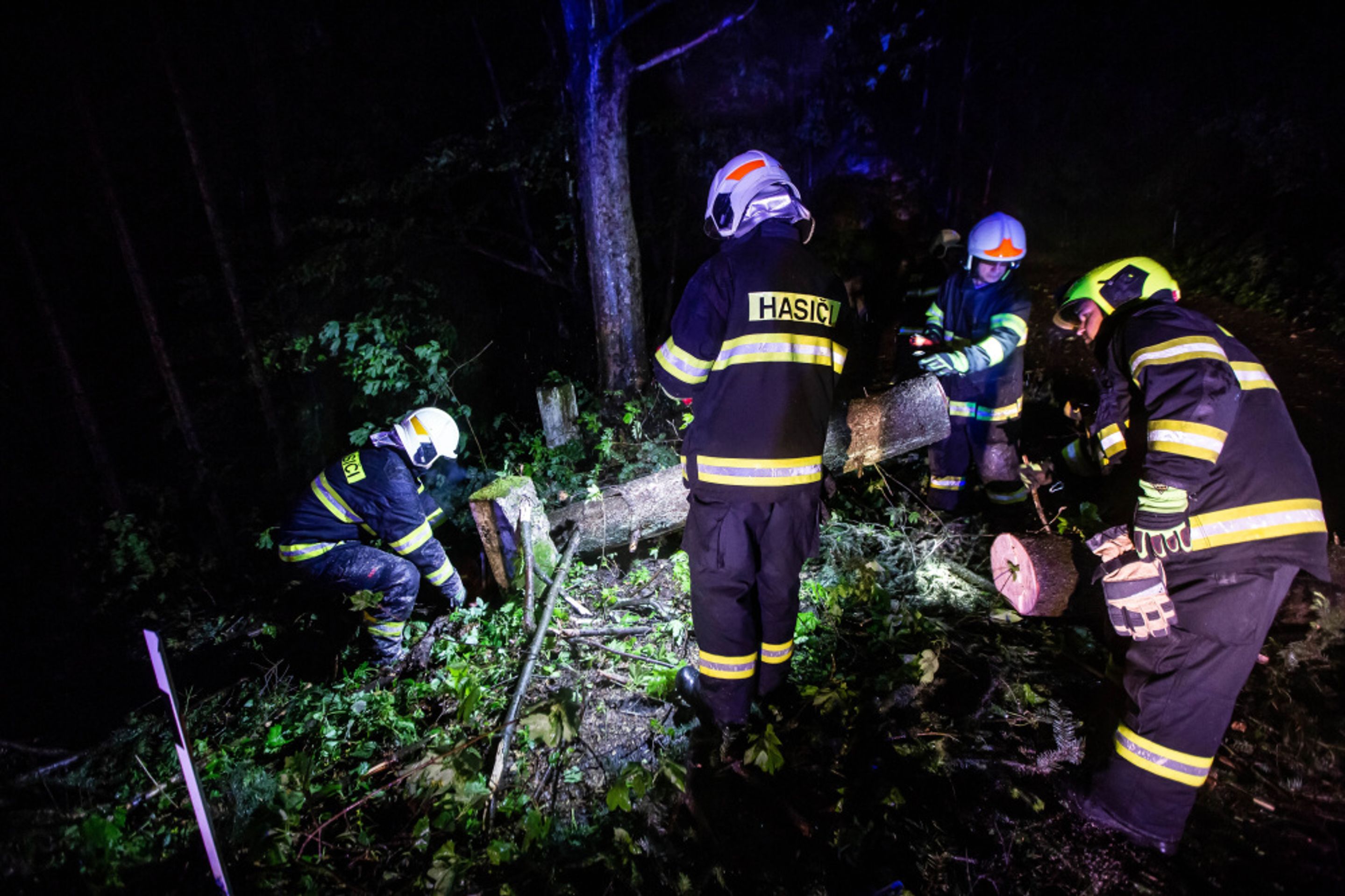 Hasiči vyjížděli k následkům bouře a větru - 9 - GALERIE: Vítr a déšť zaměstnaly hasiče napříč Českem (9/13)