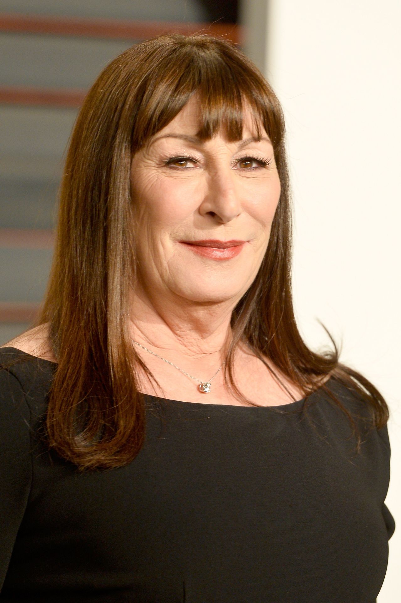 Anjelica Houston - 1 - Galerie: Morticia po letech (4/4)