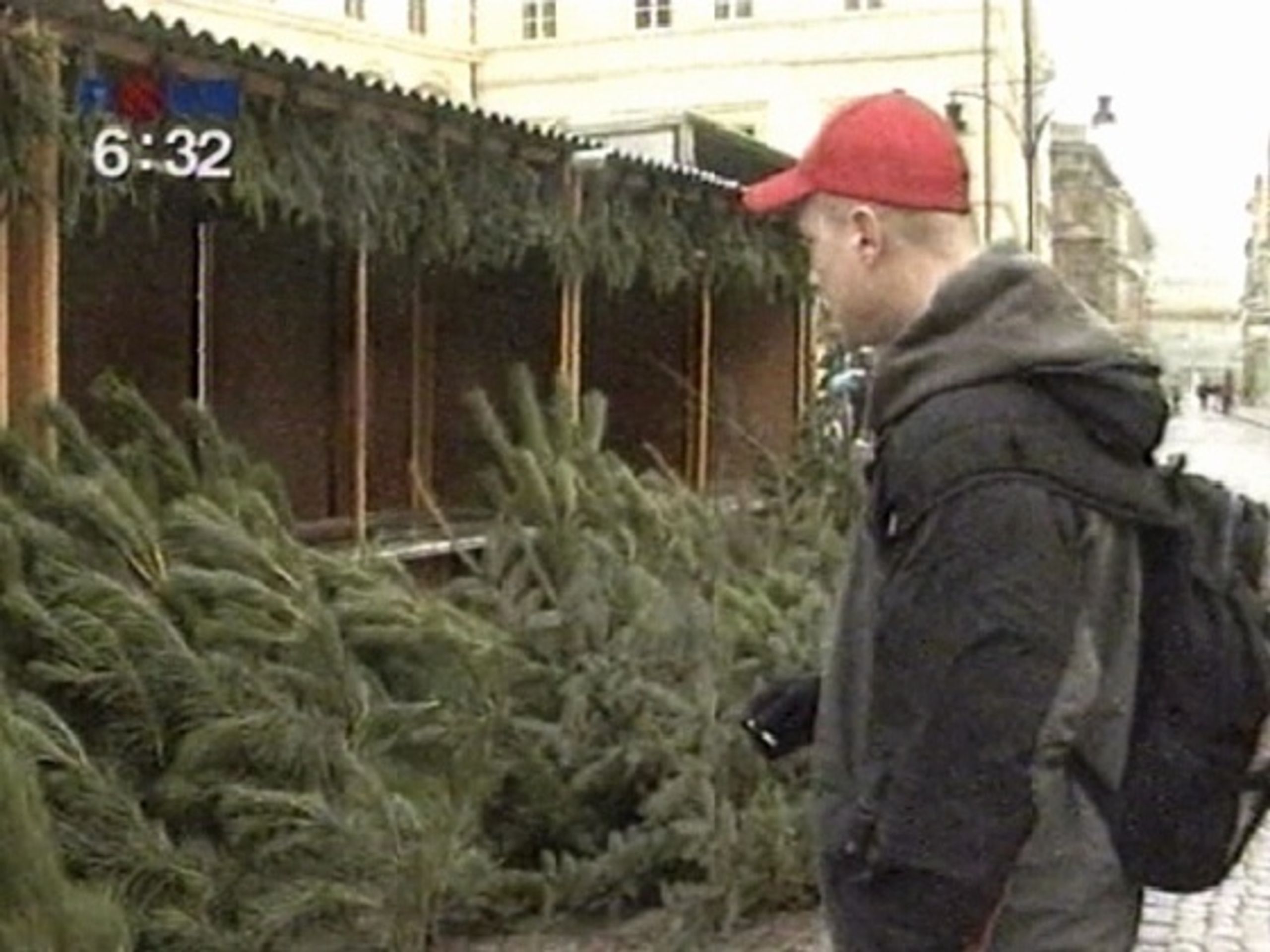  - Ekologické vánoční stromky (2/3)