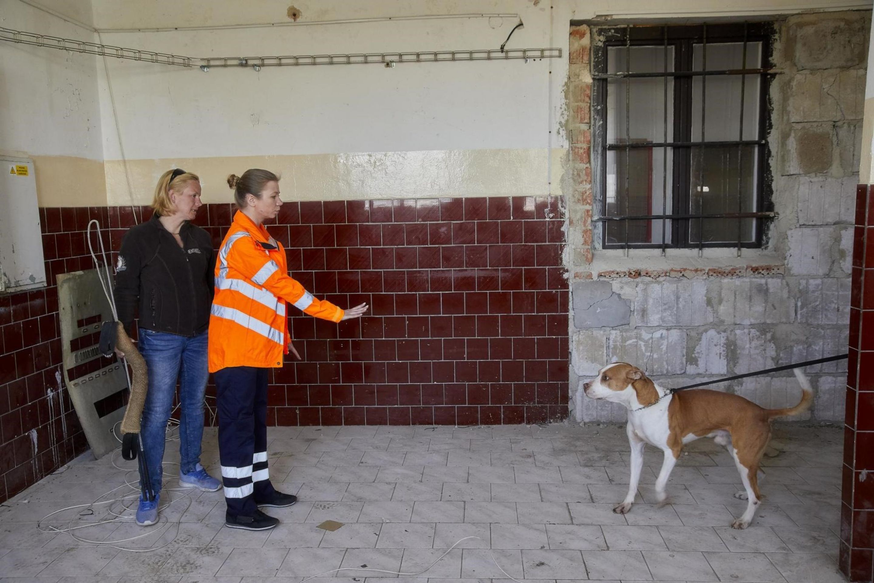 Svatba, útok a nová postava v Ordinaci - 16 - GALERIE: Svatba, útok a nová postava v Ordinaci (16/16)