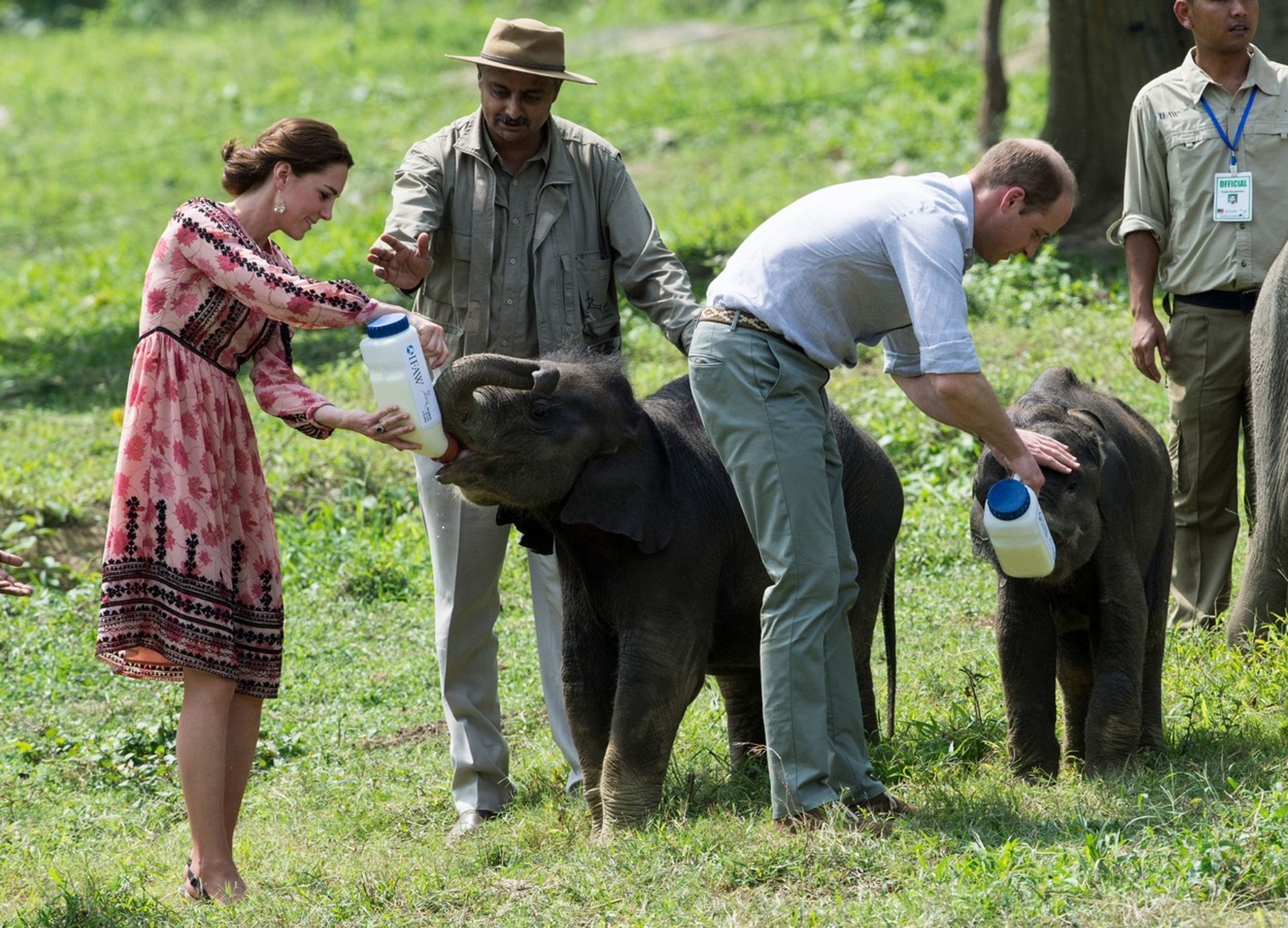 Kate a William v záchranné staniciIndii - 2 - GALERIE: Kate a William v záchranné stanici v Indii (2/6)