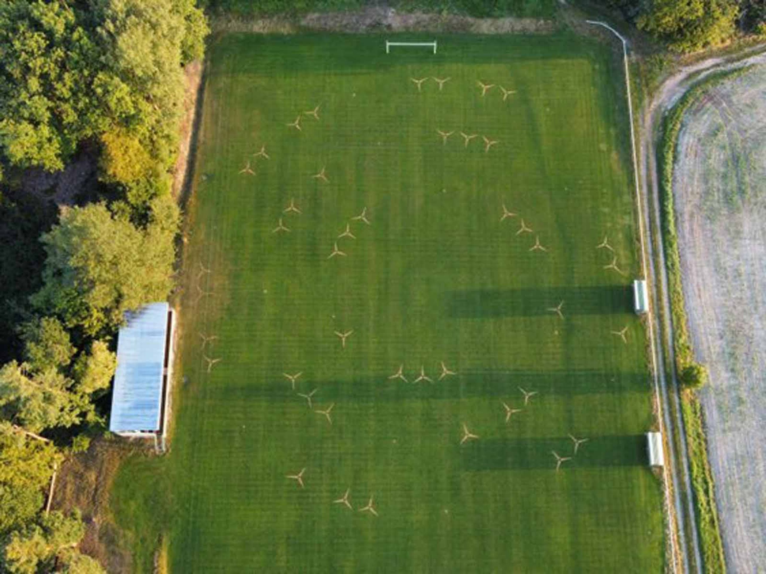 Poničený fotbalový trávník (3) - Poničený fotbalový trávník (3/4)