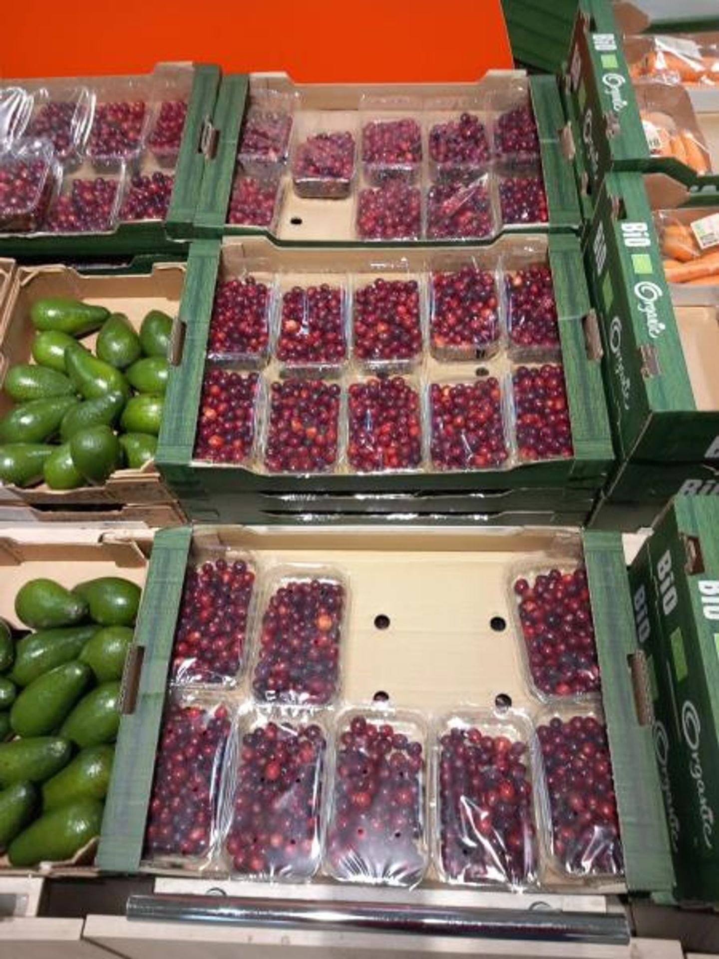Klikva byla mylně prodávána jako brusinky (3) - Klikva byla mylně prodávána jako brusinky (1/3)