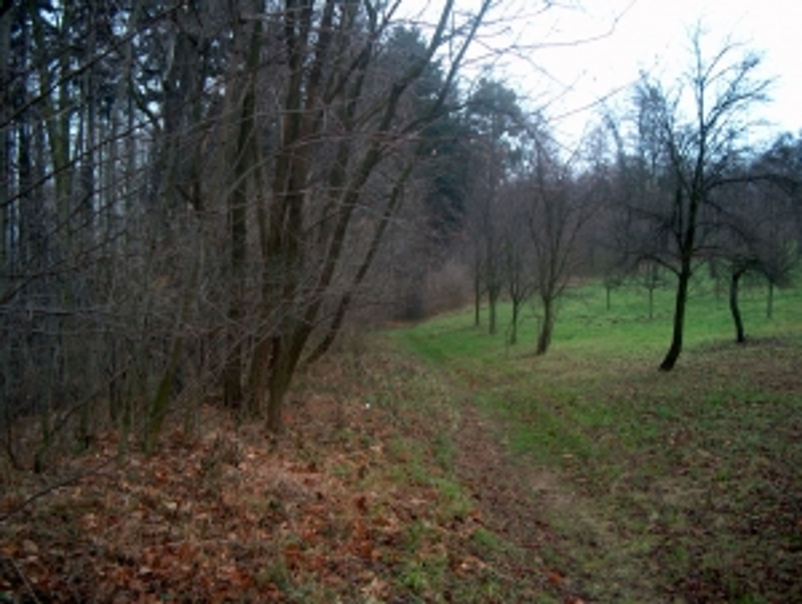 Pozemky ve Fulneku - Vojenské bunkry, pozemky a další nemovitosti (10/11)