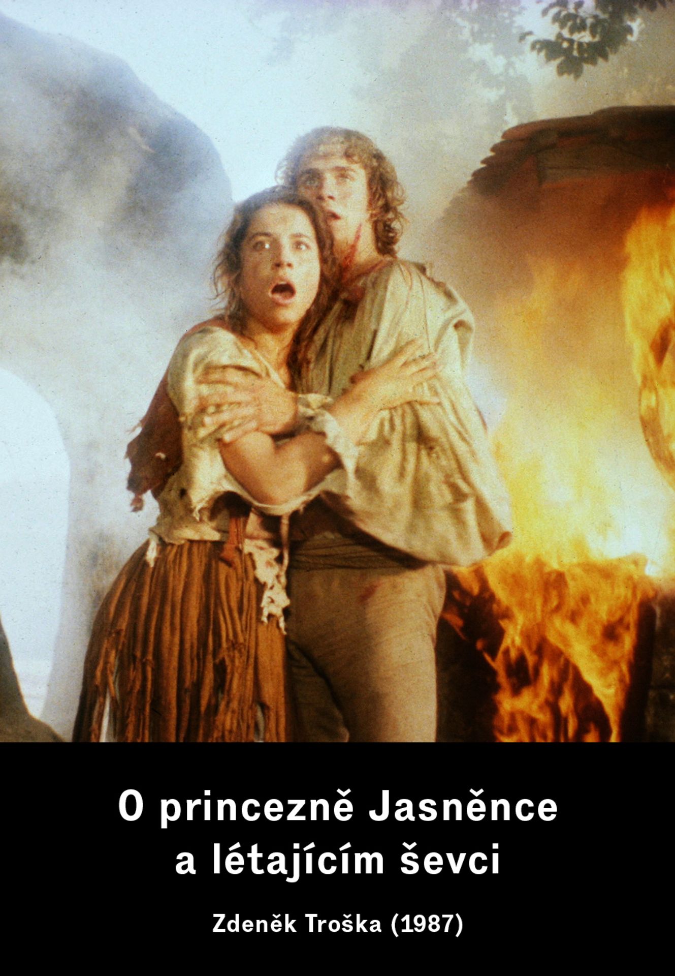 O princezně Jasněnce a létajícím ševci - GALERIE: Vánoční výzdoba TN.cz 2 (9/10)