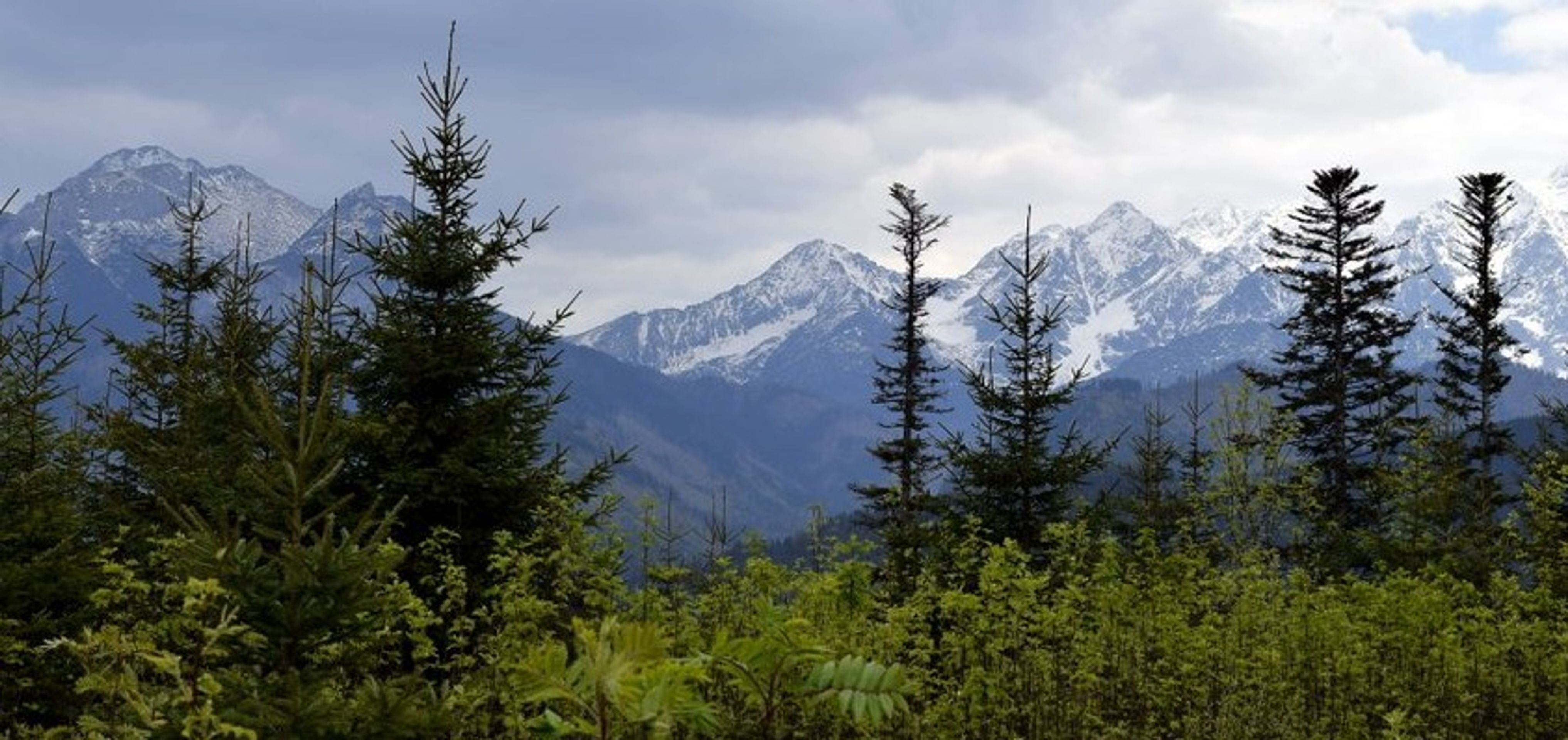 Tatry - GALERIE: Slovensko (7/7)