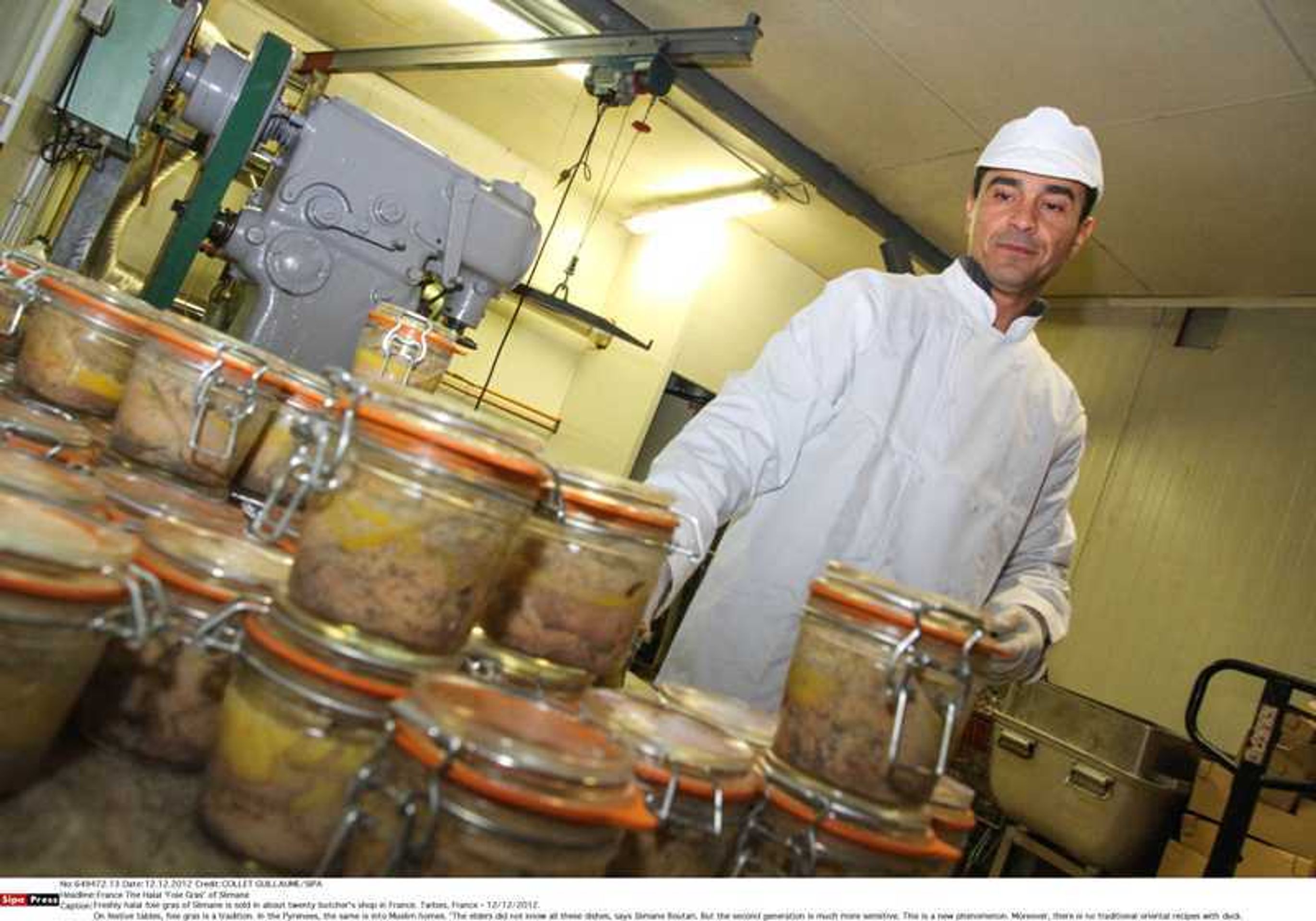 Husí játra (Foie Gras) - 1 - GALERIE: Husí játra (Foie Gras) (3/3)