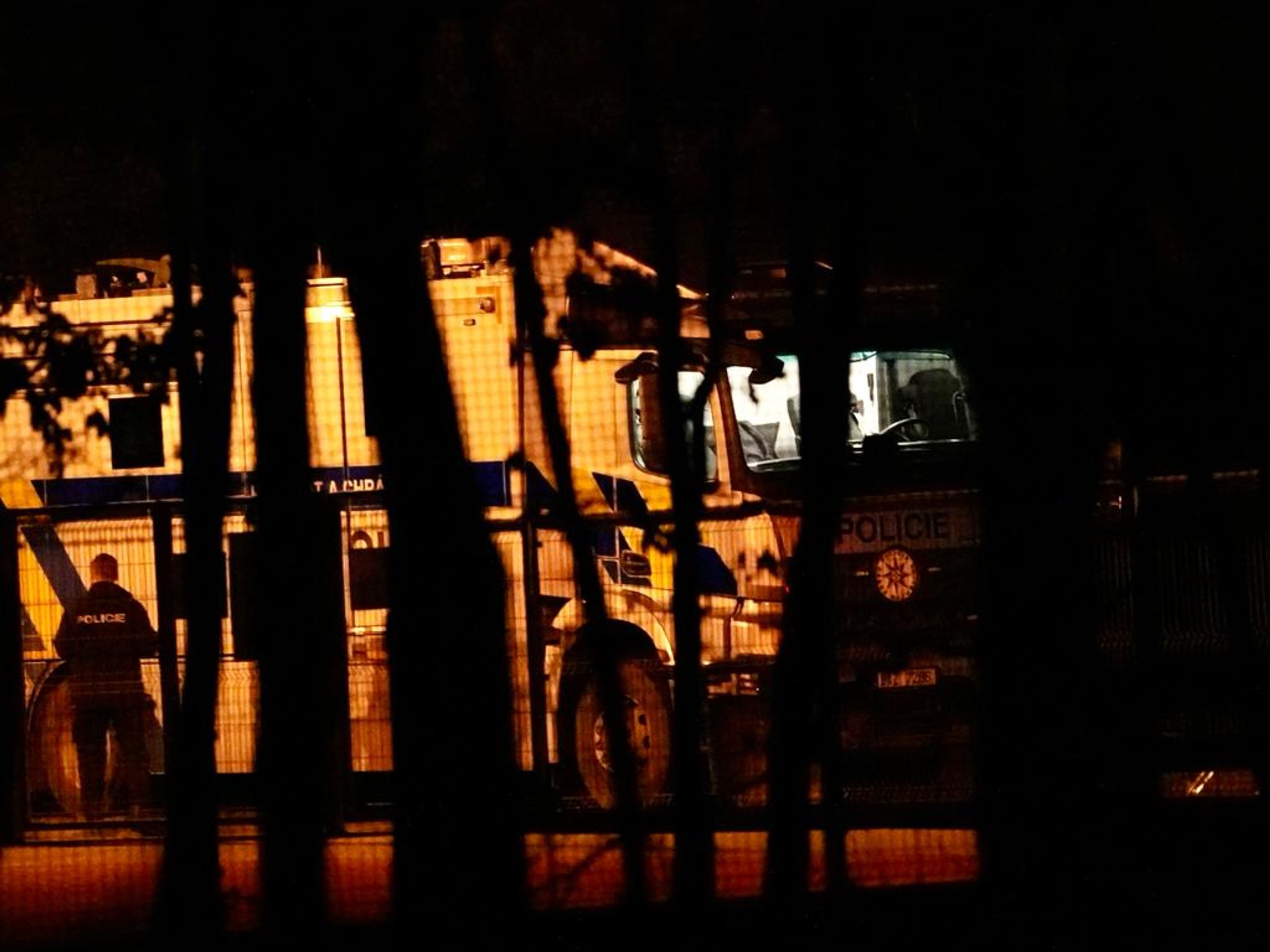 Přes 100 pražských policistů se chystá pročesávat Klánovický les (13) - Pátrací akce v Klánovickém lese (29/33)