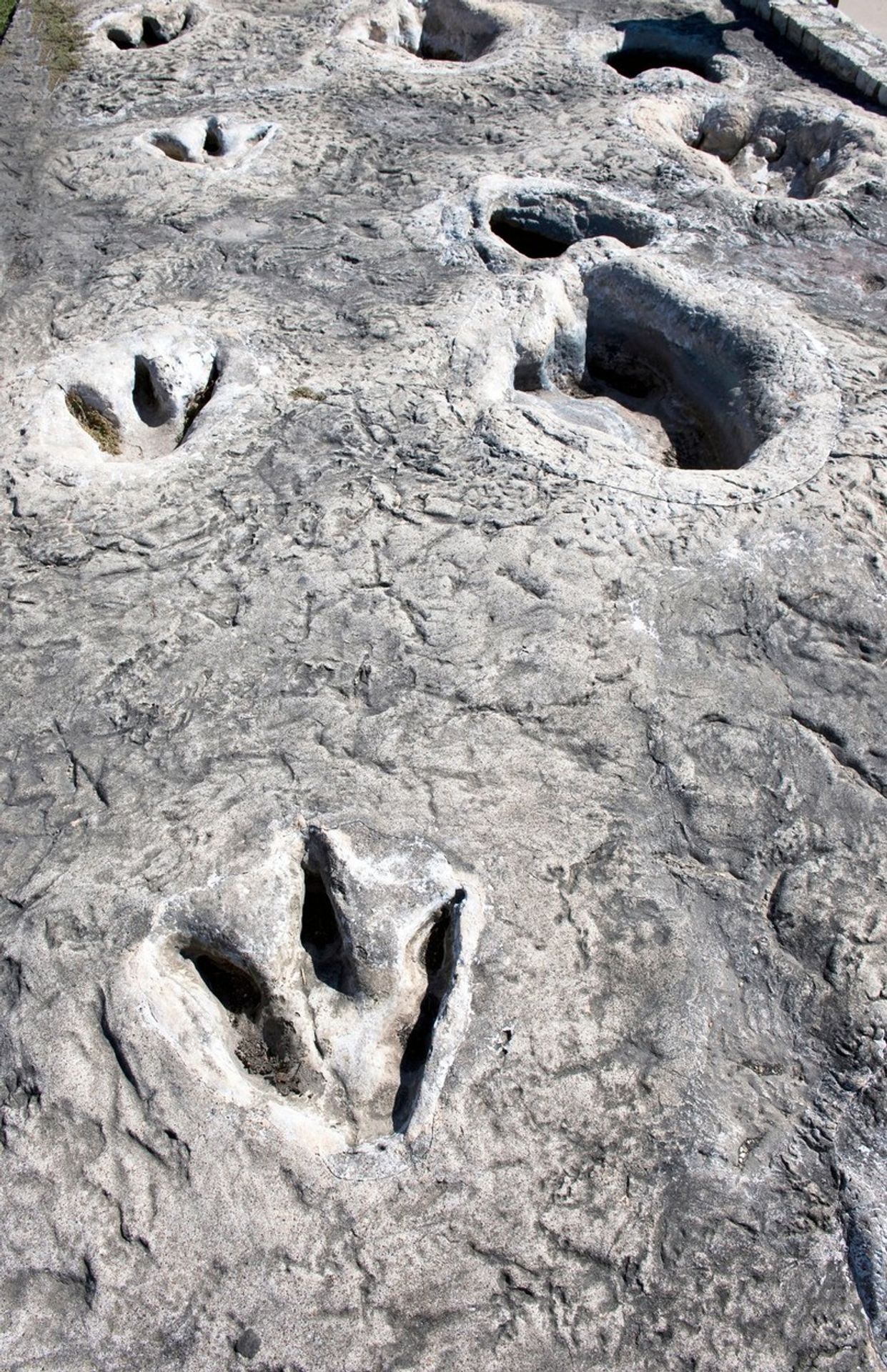 Dinosauří stopy (2) - Dinosauří údolí (3/4)
