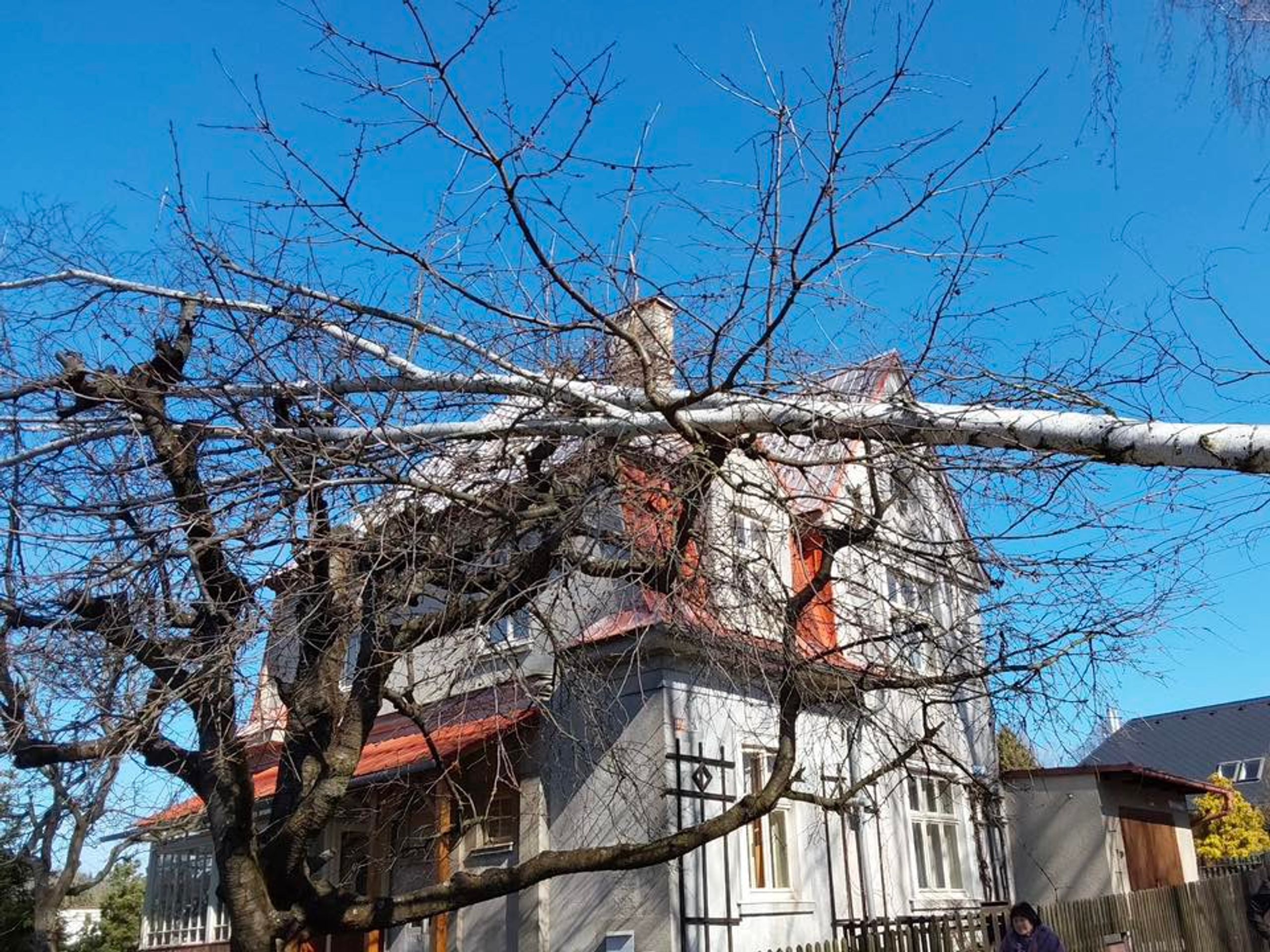 Zásah Hasičského záchranného sboru Olomouckého kraje - Zásahy hasičů kvůli silnému větru (1/25)