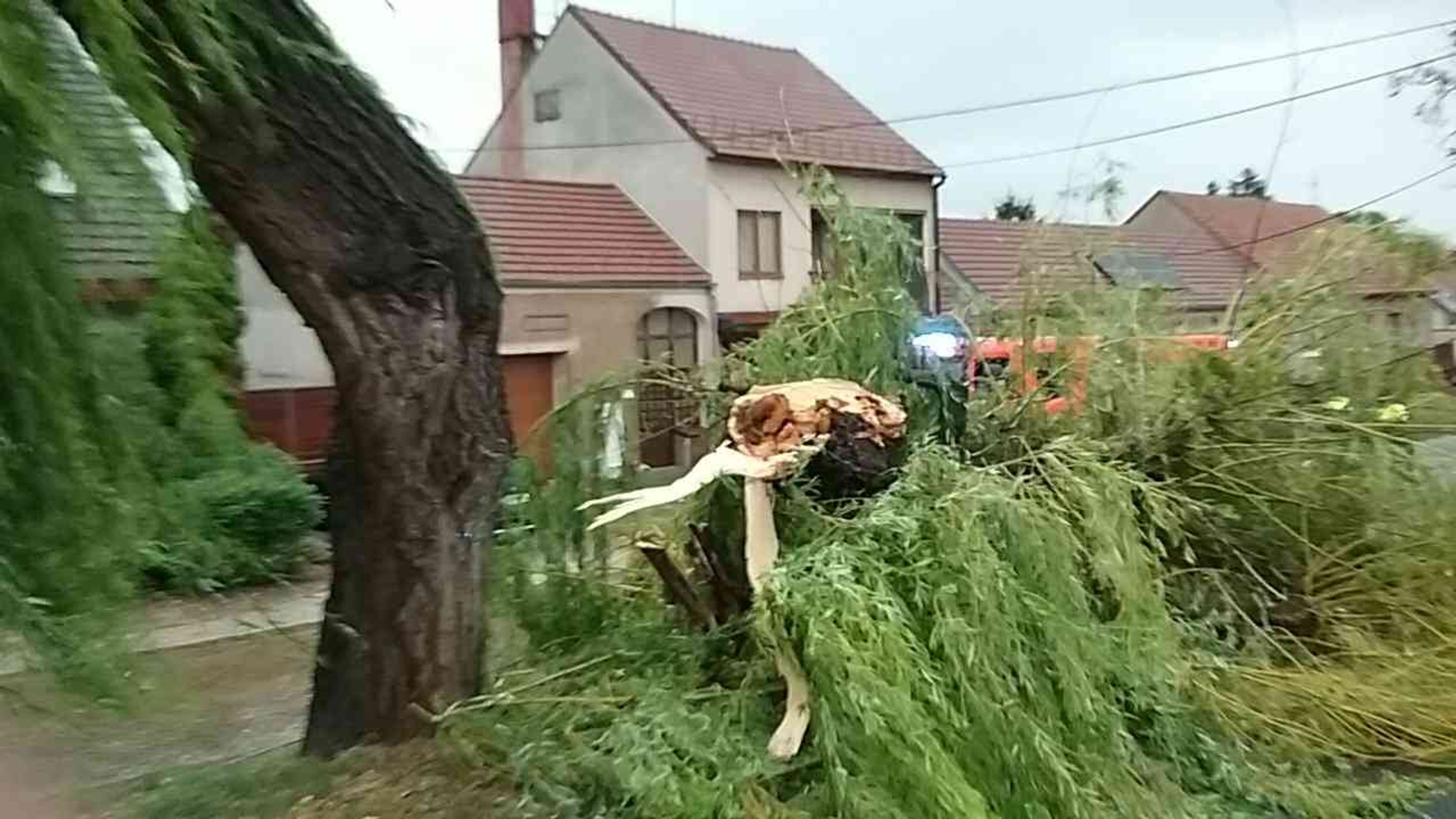 Bouřky opět řádily - 5 - Bouřky opět řádily (5/7)