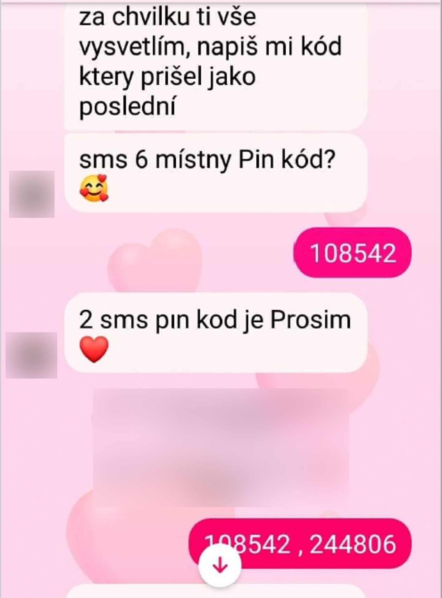 Policie popsala internetový podvod - GALERIE: Podvodná komunikace na sociálních sítích (3/6)