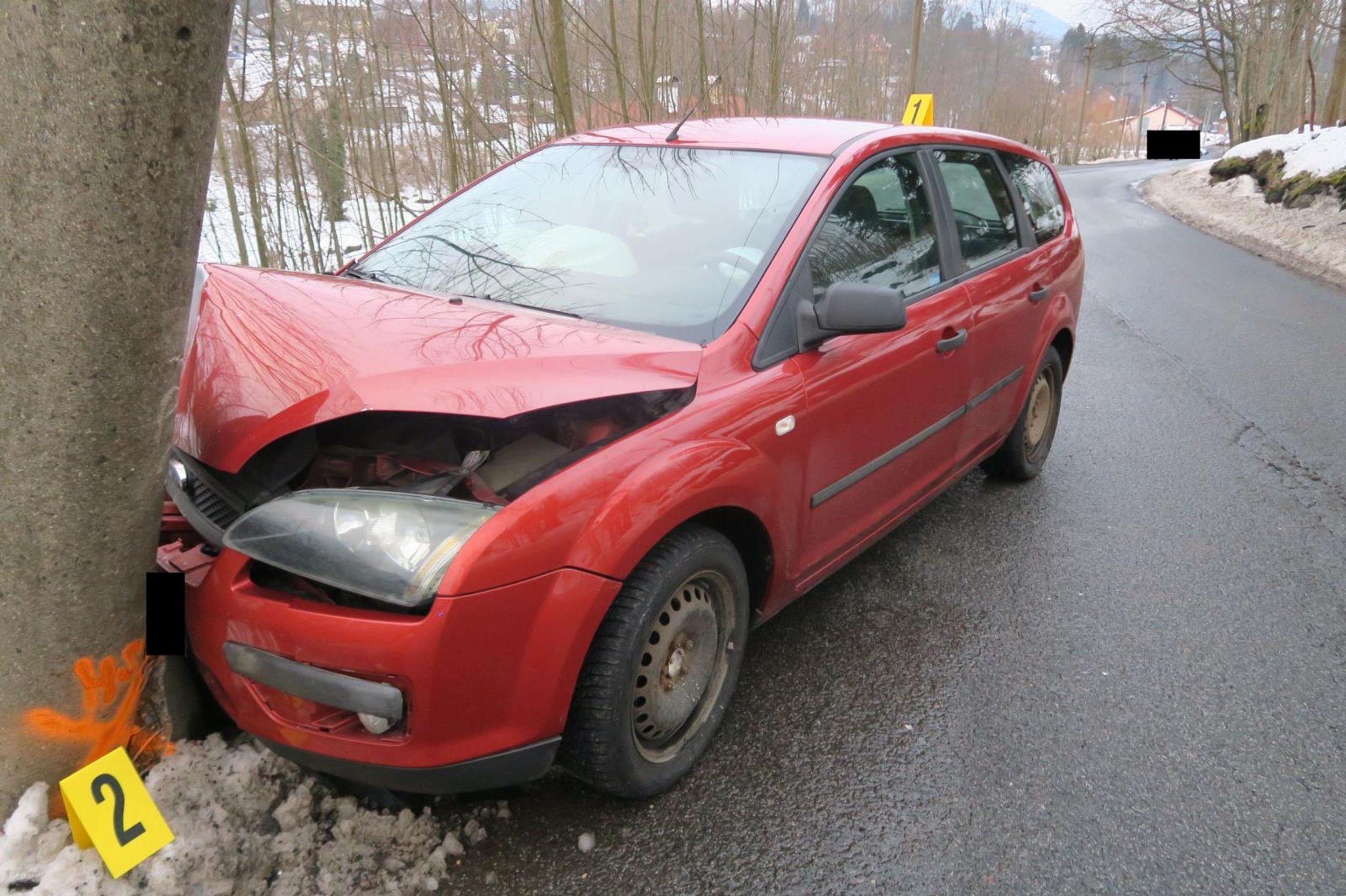 Nehoda na Jablonecku - Žena na Jablonecku strhla řízení kvůli kočce (5/6)