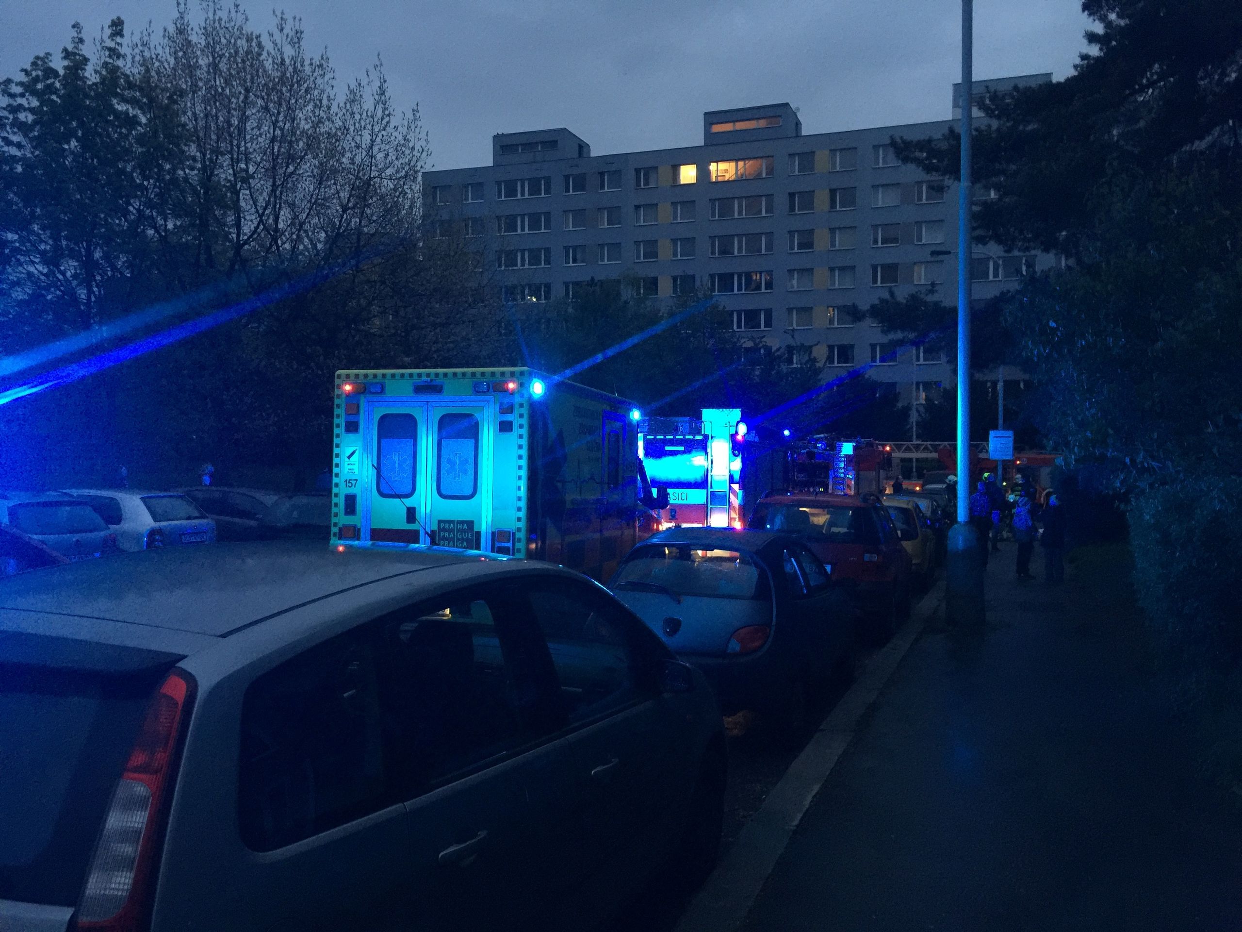 Při požáru na Hájích v Praze zachraňovali papouška, který se nadýchal zplodin - 2 - GALERIE: Při požáru na Hájích v Praze zachraňovali papouška, který se nadýchal zplodin (6/7)