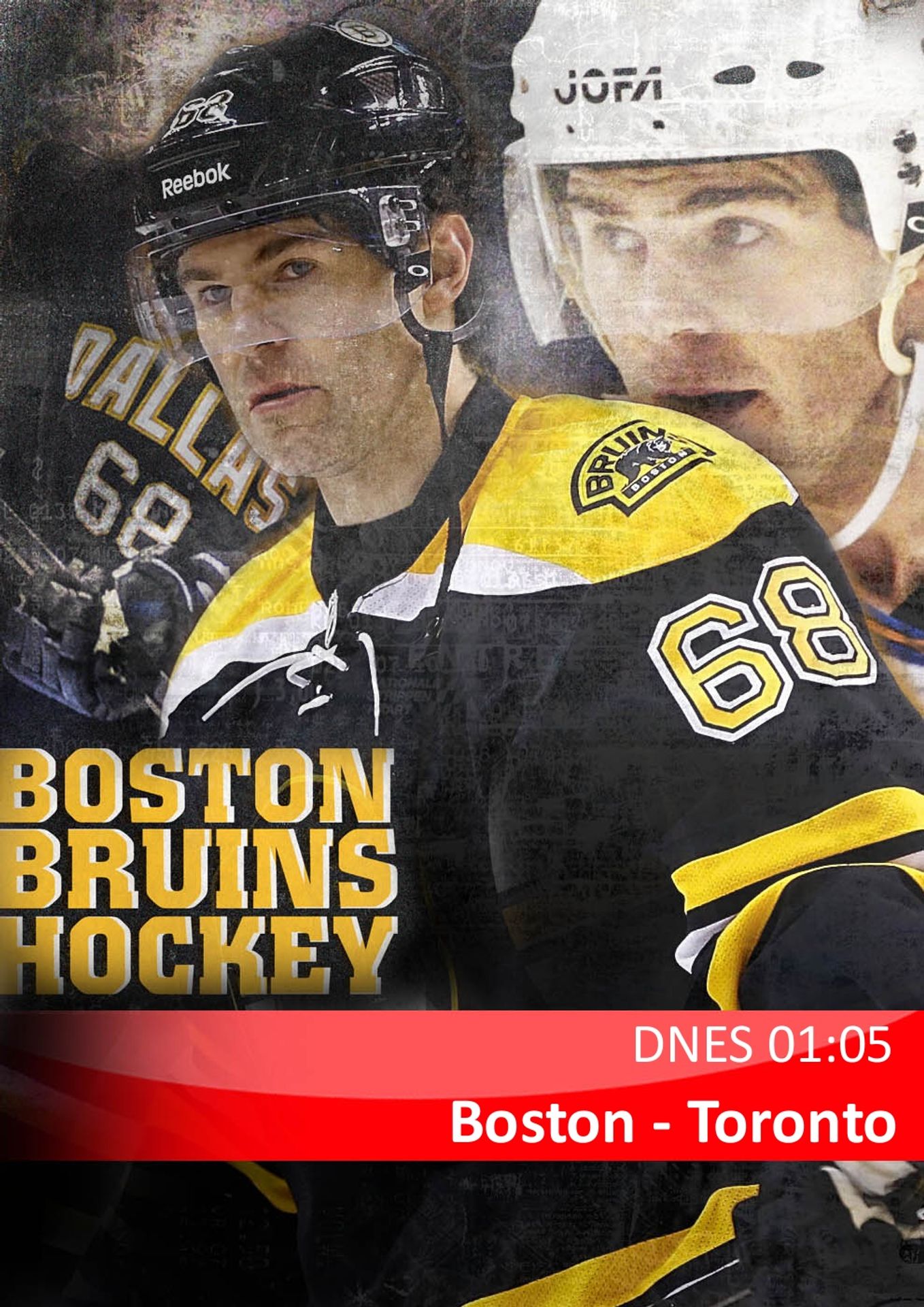 Boston - Toronto NHL PO 2 - GALERIE: Psi pro prezidenta Zemana (5/7)