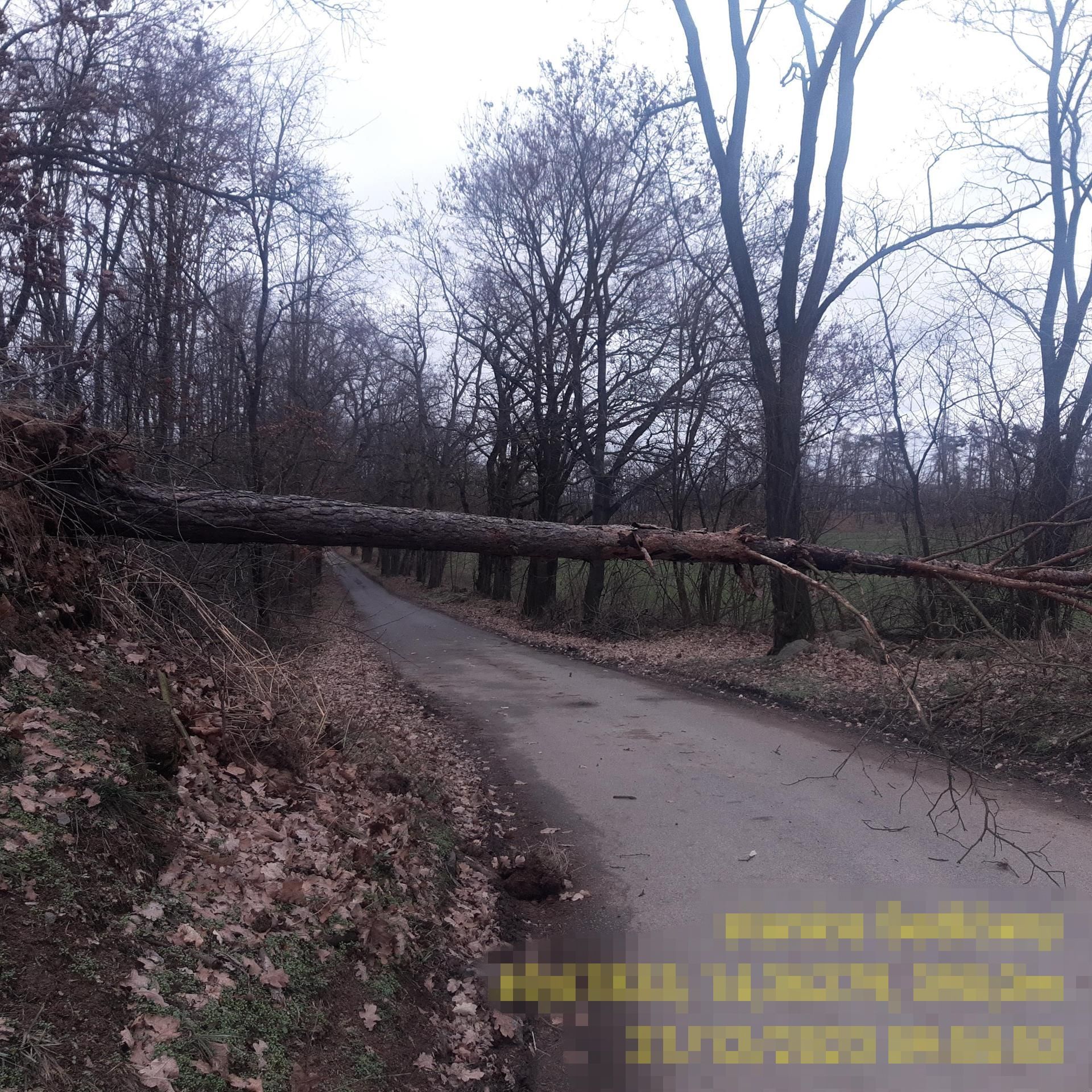 Zásahy hasičů kvůli silnému větru - Silný vítr zasáhl Česko (2/5)