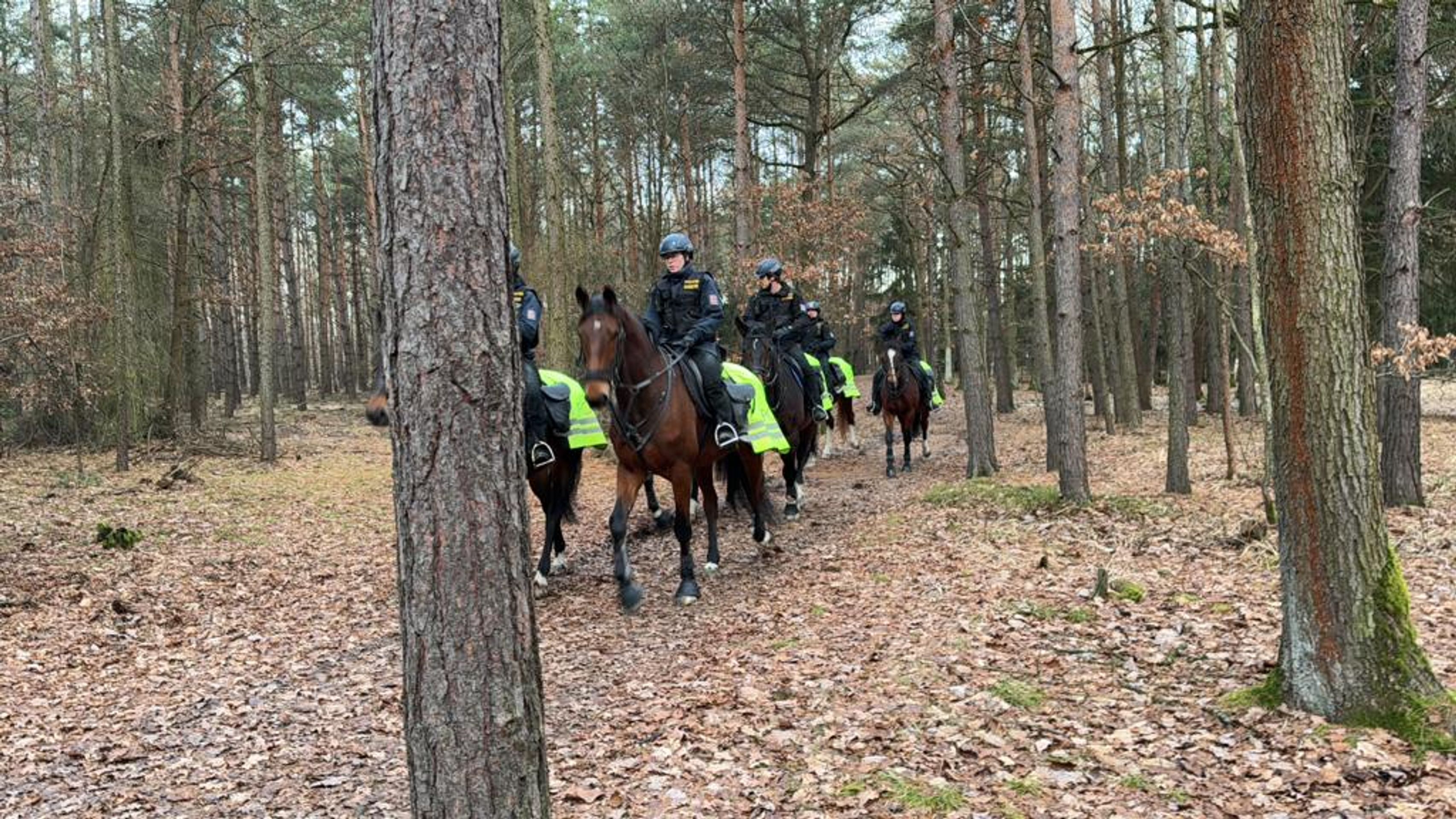 Hromadná policejní akce v Klánovicích (8) - Pátrací akce v Klánovickém lese (10/33)
