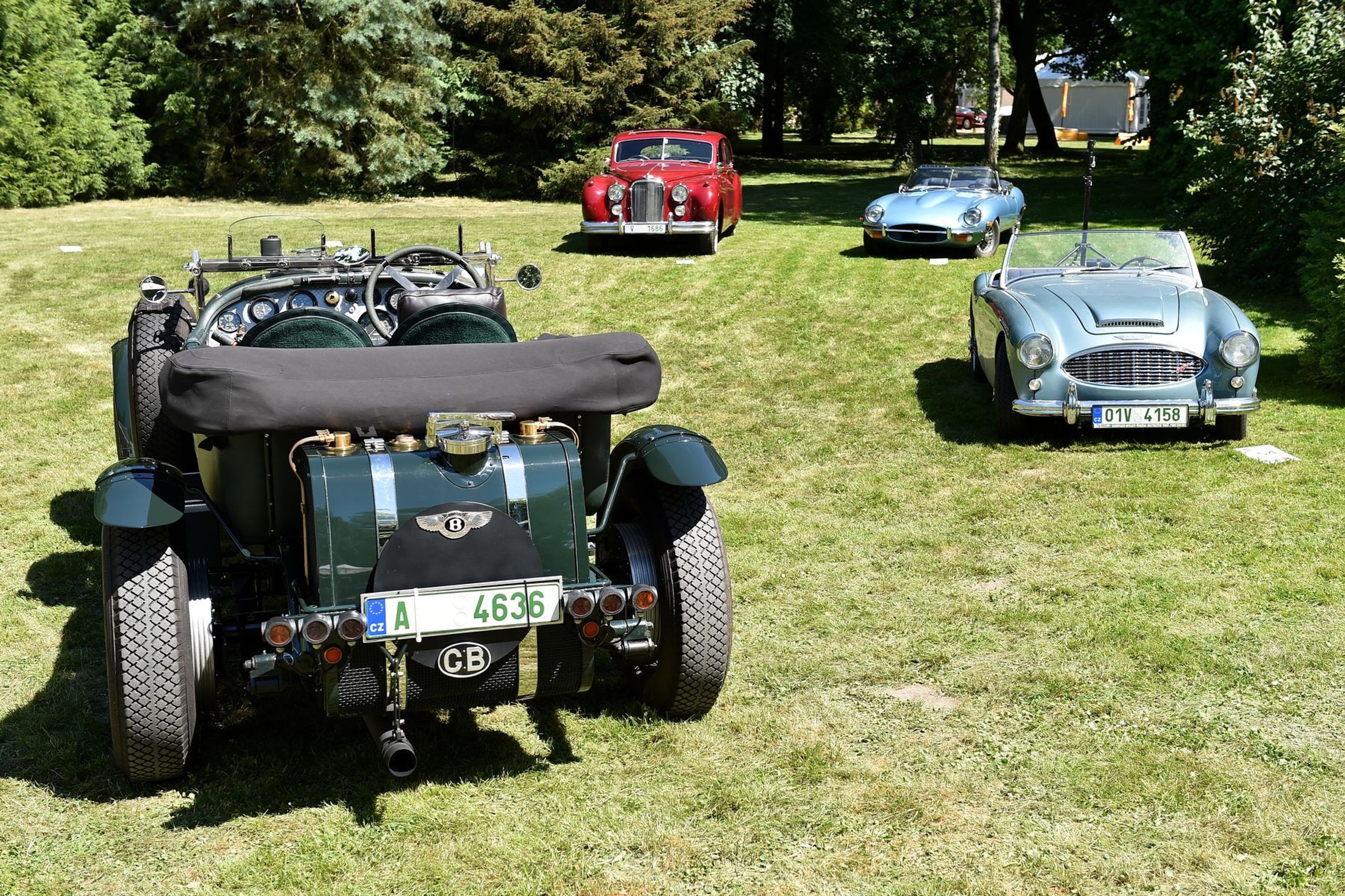 Concours d' Elegance - 8 - GALERIE: Concours d' Elegance (8/28)