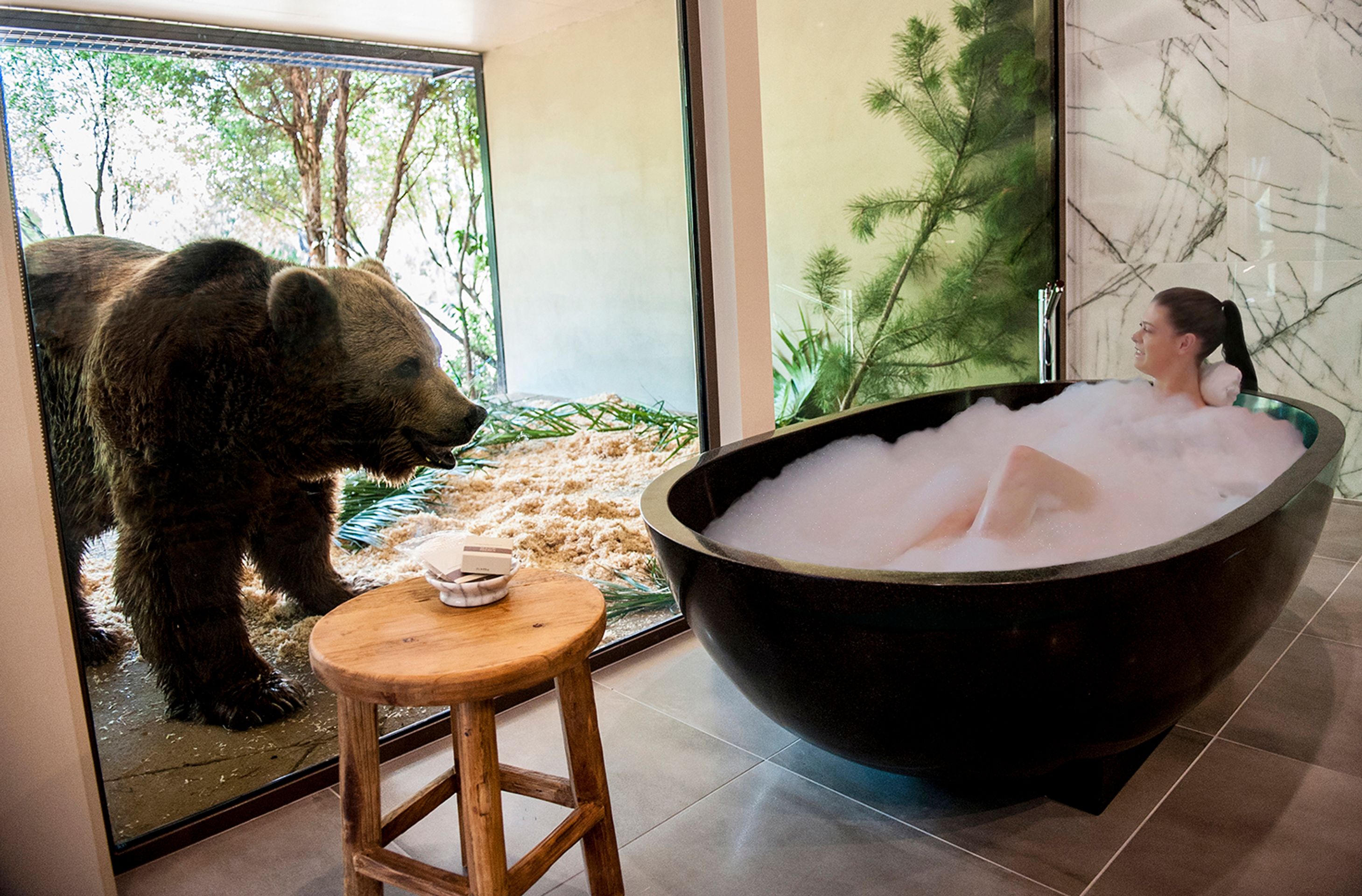Bydlení v ZOO - GALERIE: Bydlení v ZOO (6/6)