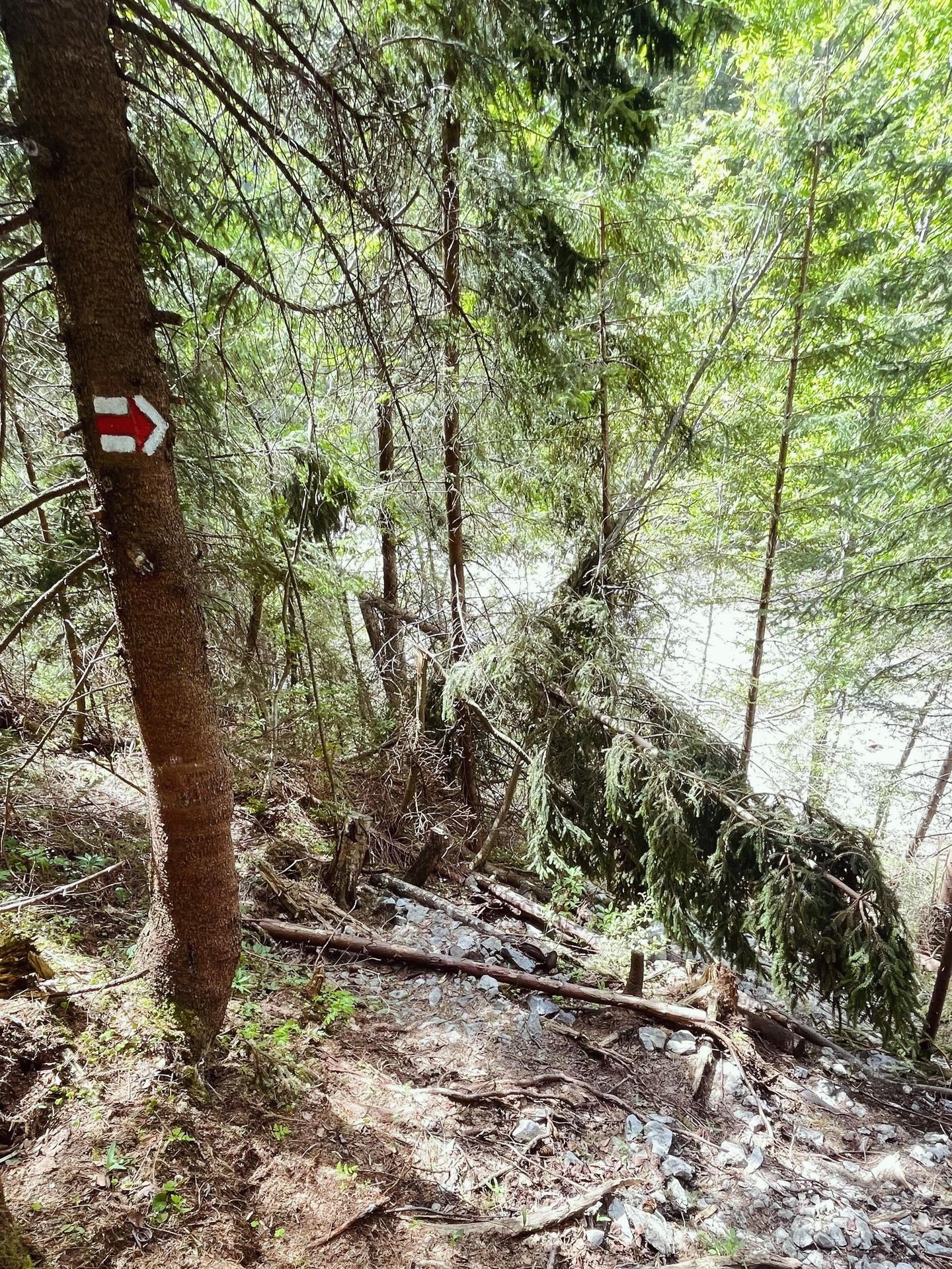 Turistický chodník v úseku Ždiar – Široké sedlo - Turistický chodník v úseku Ždiar – Široké sedlo (4/5)