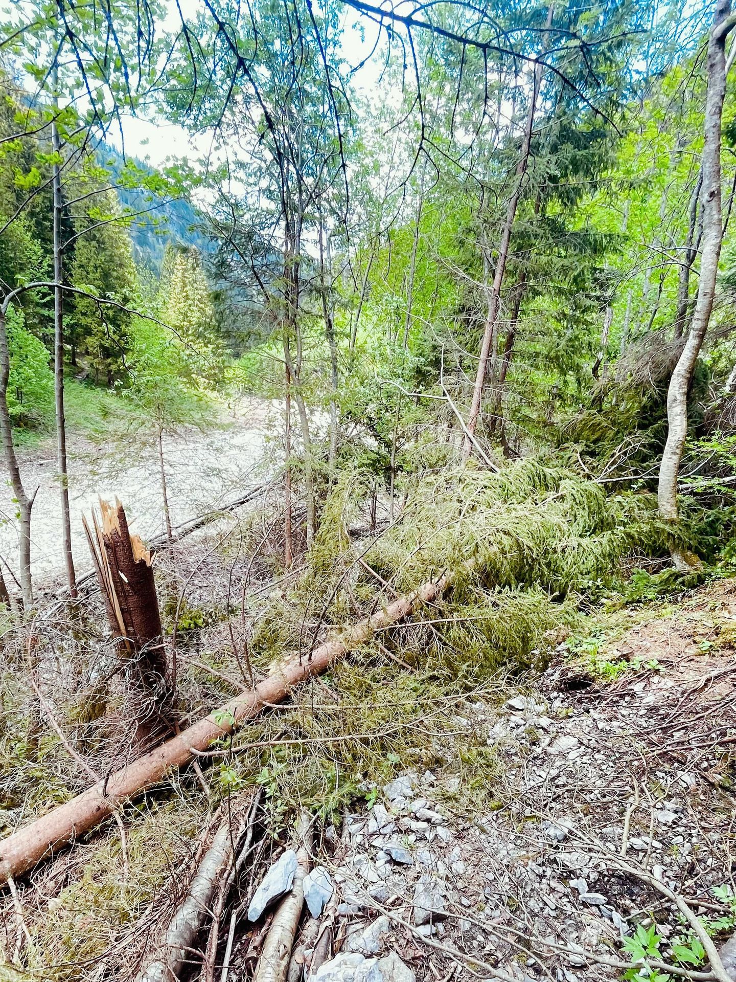 Turistický chodník v úseku Ždiar – Široké sedlo - Turistický chodník v úseku Ždiar – Široké sedlo (3/5)