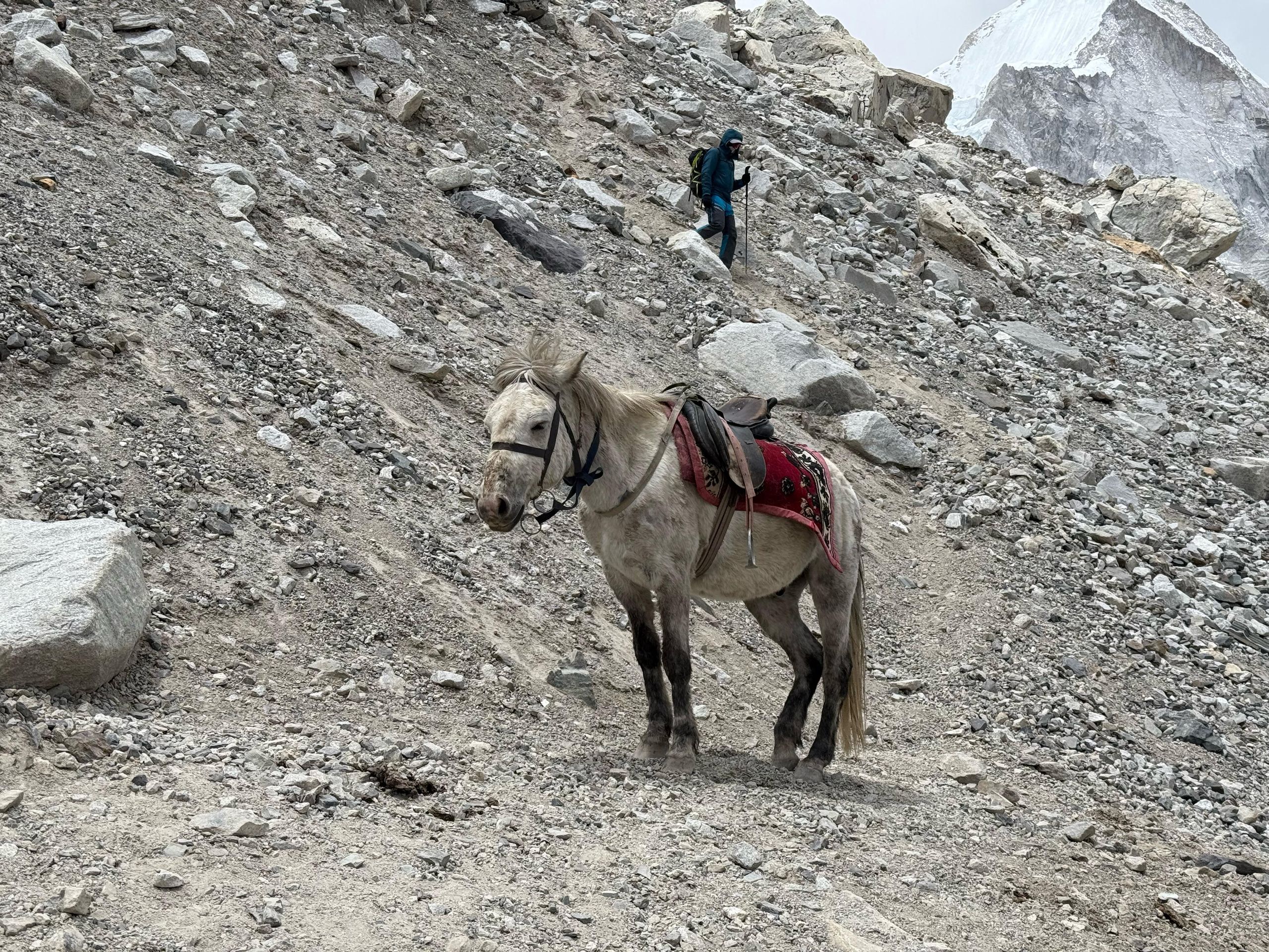 Česká expedice na Mount Everest (26) - Česká expedice na Mount Everest (12/28)