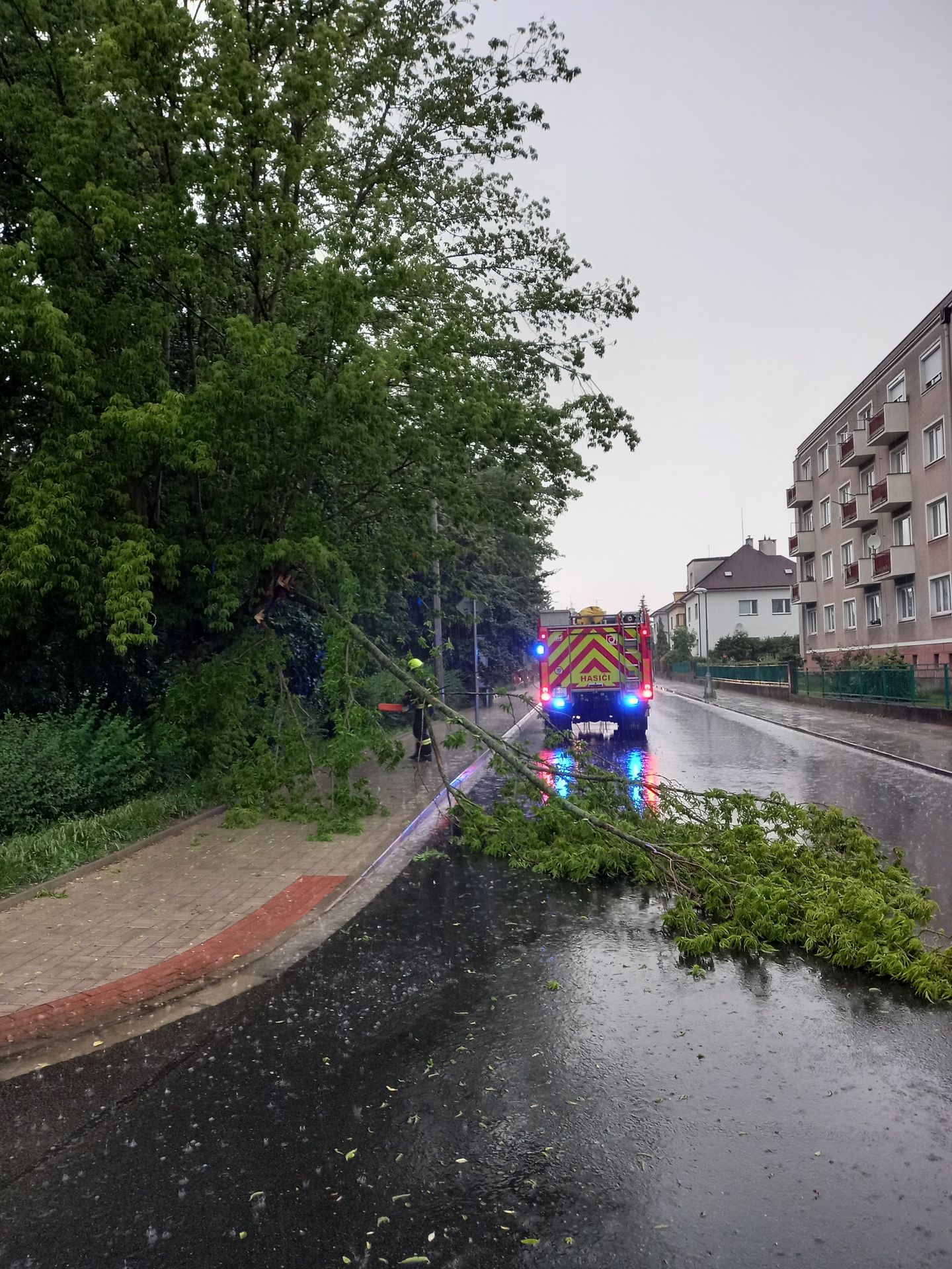 Hasiči v Královéhradeckém kraji vyráželi do terénu především kvůli popadaným stromům a větvím - Následky bouřek (10/12)