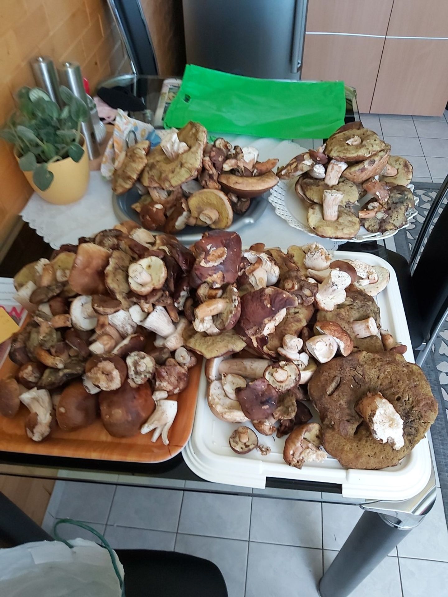 Houbařské úlovky od čtenářů TN.cz - GALERIE: Čtenáři TN.cz se chlubí svými houbařskými úspěchy (2/19)