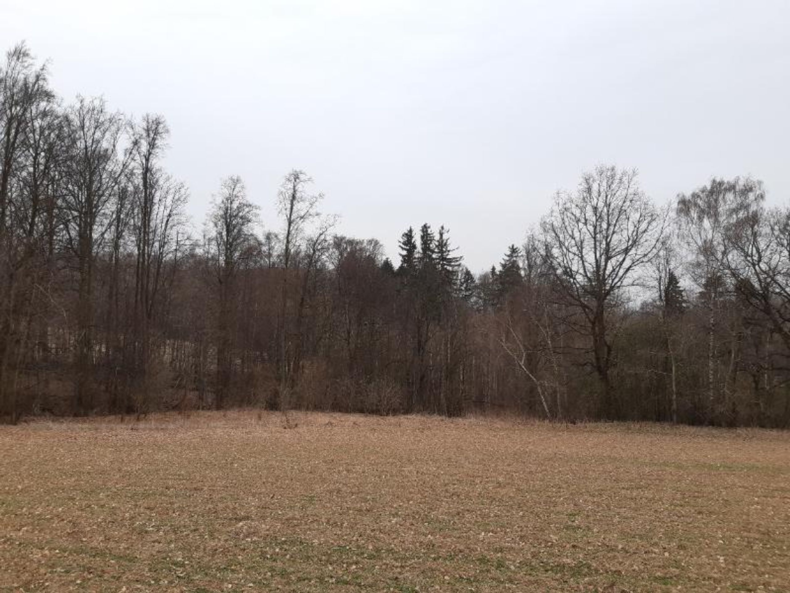 Dražba pozemků - Rozprodej státního majetku –⁠ pozemky (4/9)