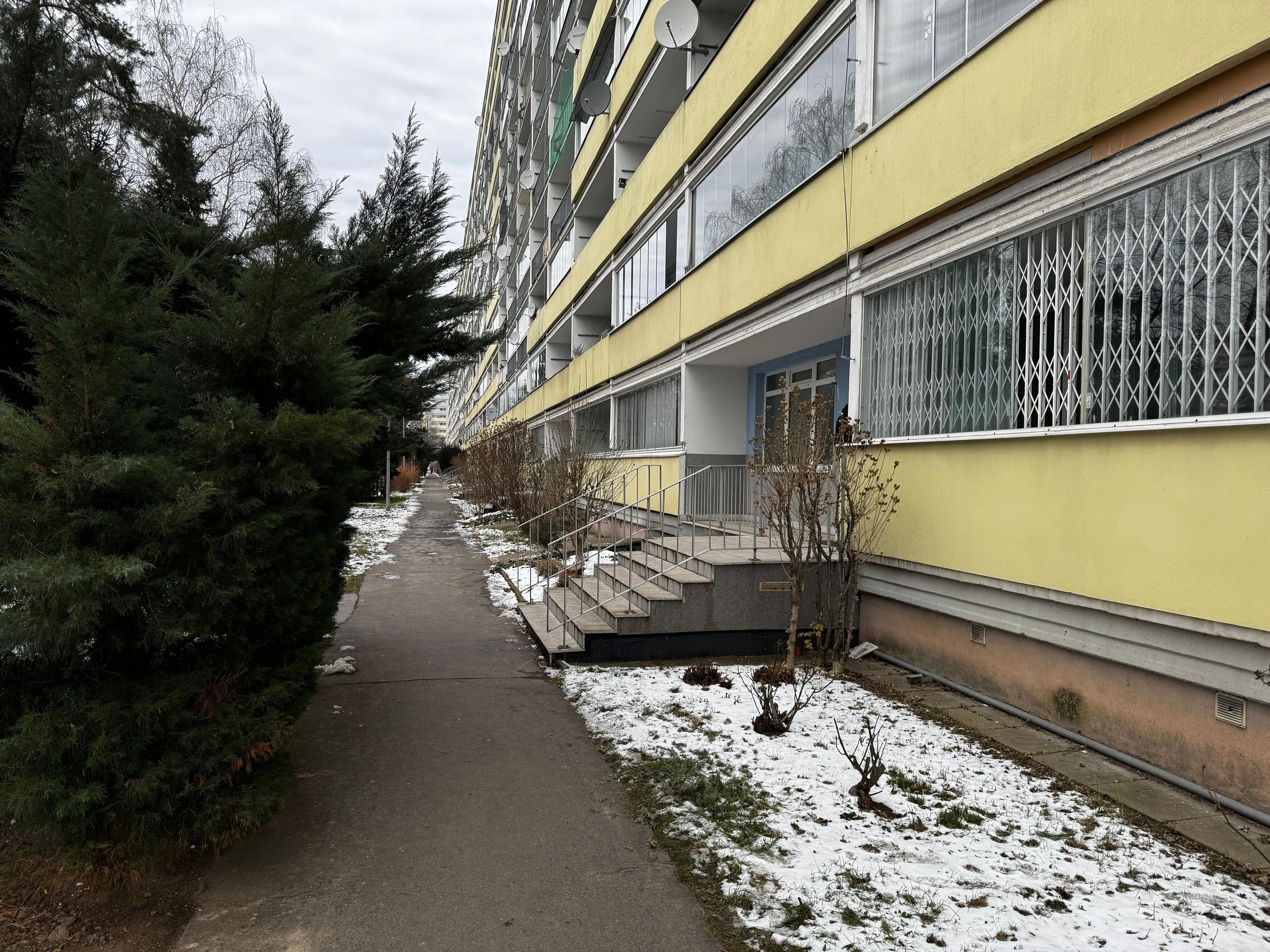 Údajný žhářský útok na Proseku - Žhářský útok na Proseku (2/5)