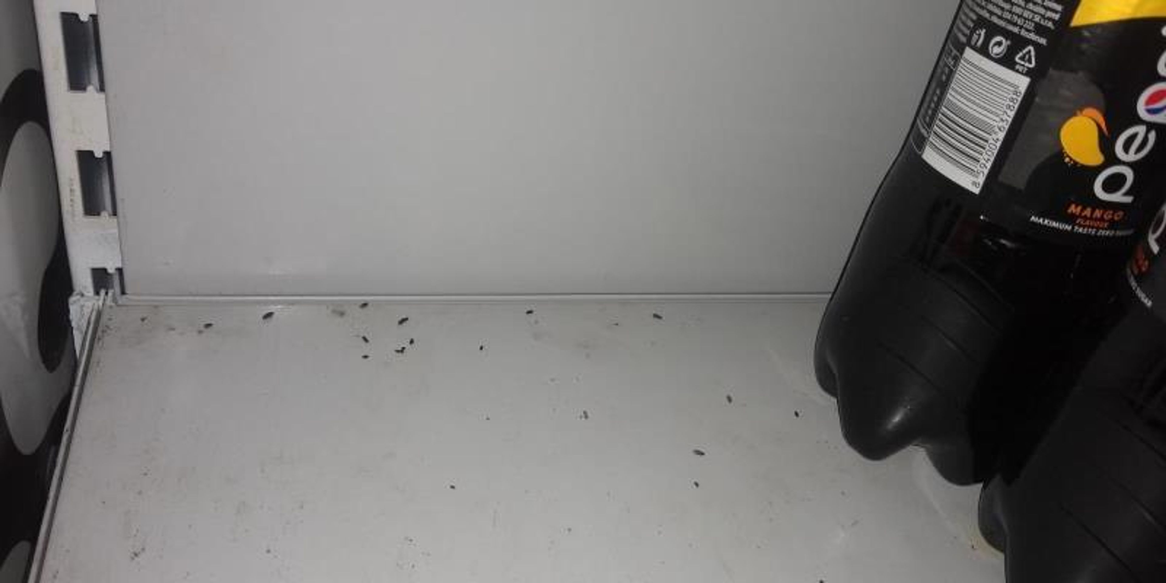 SZPI kontrolovala obchody - 5 - GALERIE: Kontroly v prodejnách potravin (11/37)