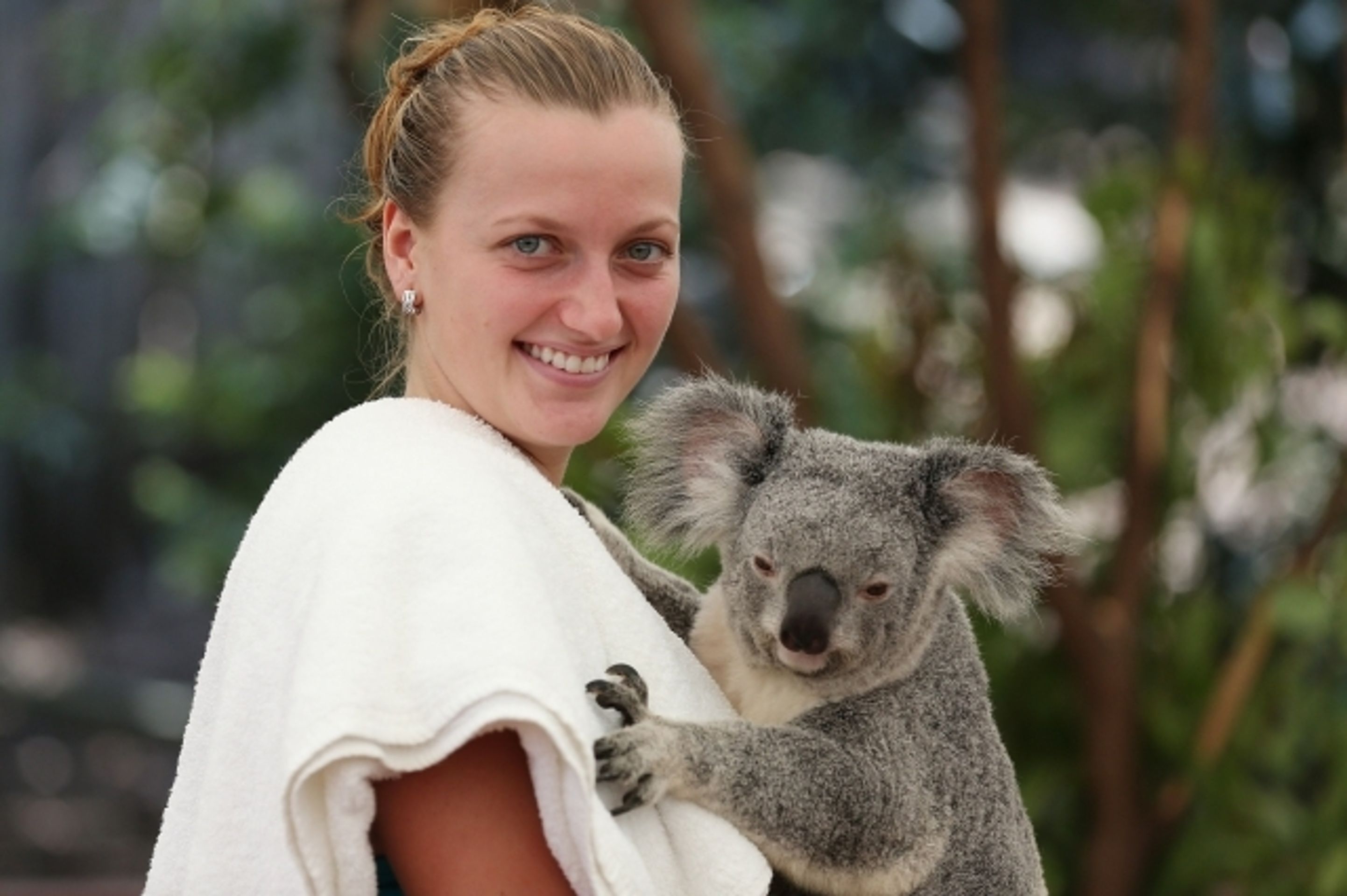 Petra Kvitová a koala - 2 - GALERIE: Petra Kvitová a koala (7/8)