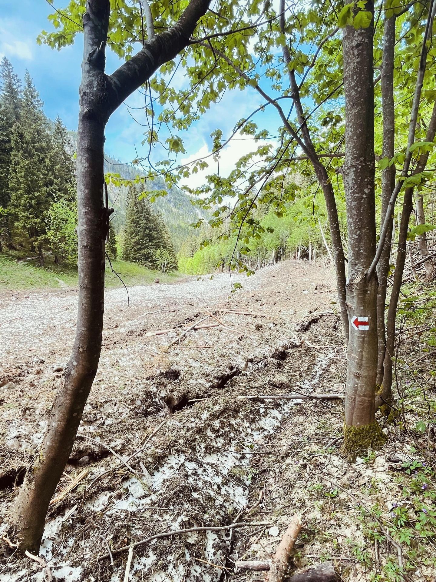 Turistický chodník v úseku Ždiar – Široké sedlo - Turistický chodník v úseku Ždiar – Široké sedlo (1/5)