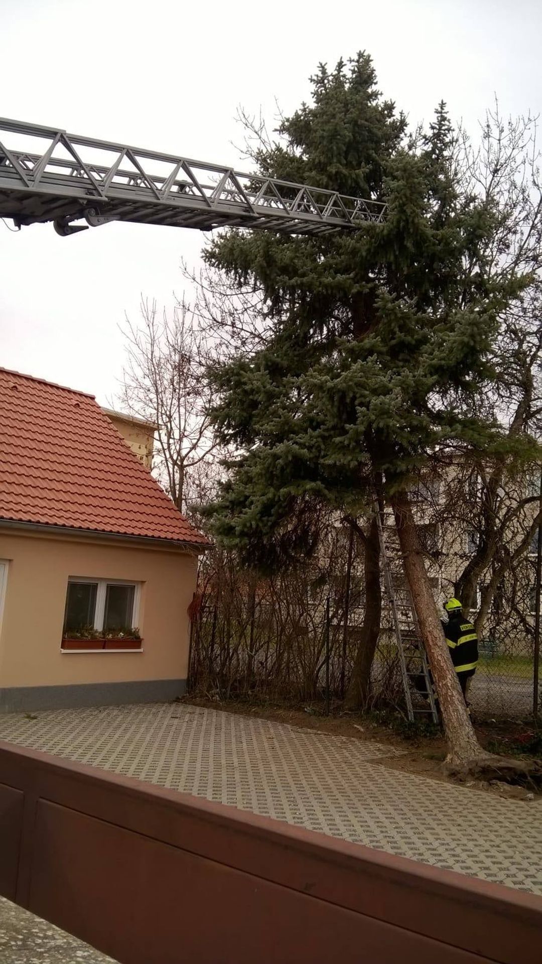Vyvrácený strom v Dobříši - GALERIE: Spadlý sloup vysokého napětí (6/13)