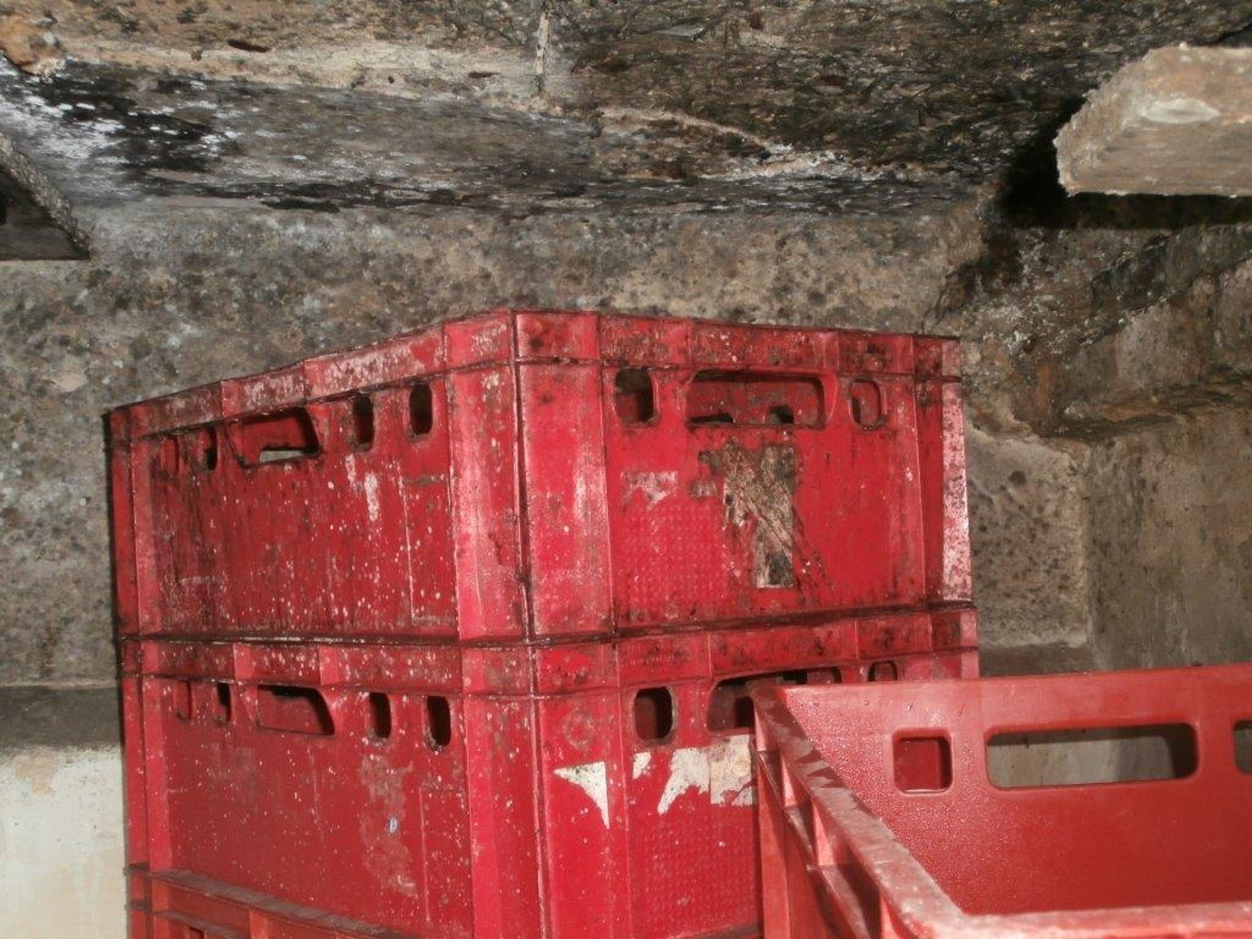Uzavřená nelegální výrobna tofu prodávaného v pražské tržnici SAPA - 8 - GALERIE: Uzavřená nelegální výrobna tofu prodávaného v pražské tržnici SAPA (8/18)