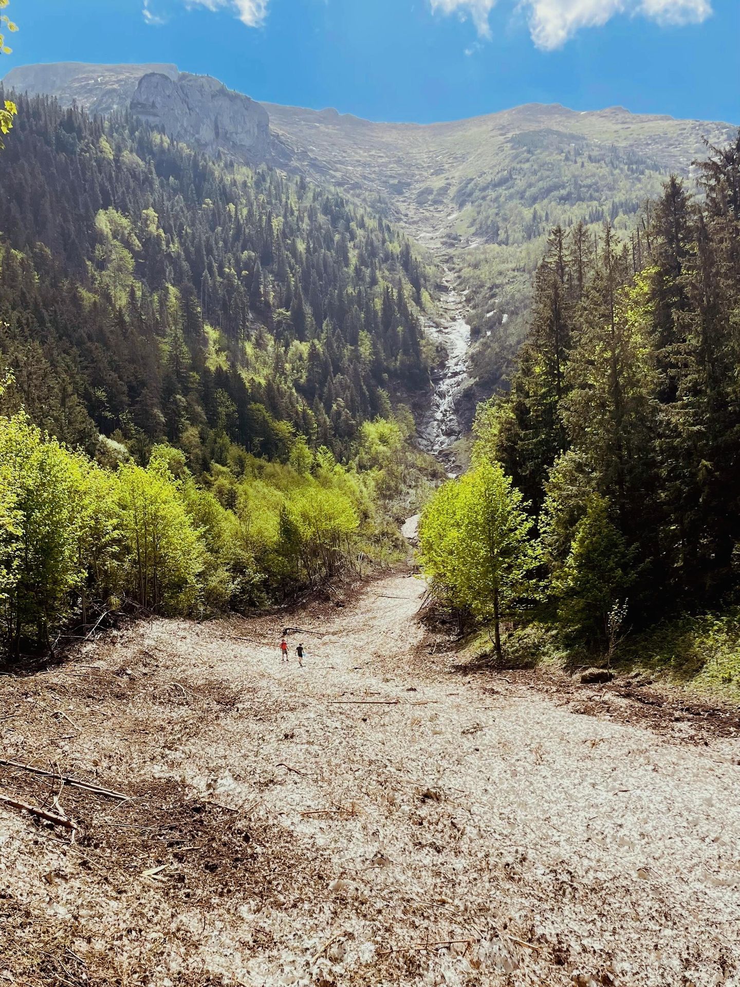 Turistický chodník v úseku Ždiar – Široké sedlo - Turistický chodník v úseku Ždiar – Široké sedlo (5/5)