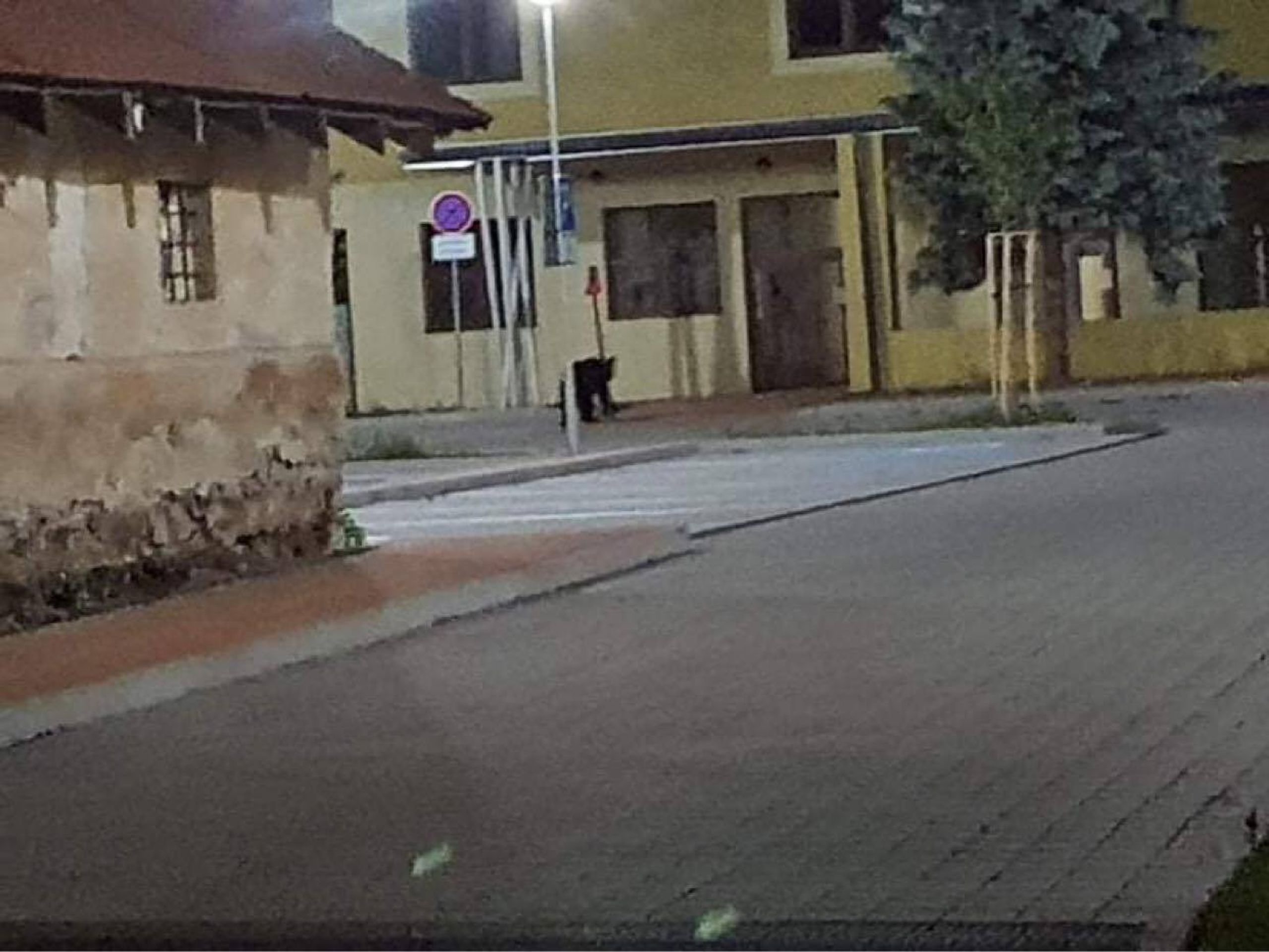 Ulicemi slovenského města se procházel medvěd - 2 - GALERIE: Ulicemi slovenského města se procházel medvěd (2/3)