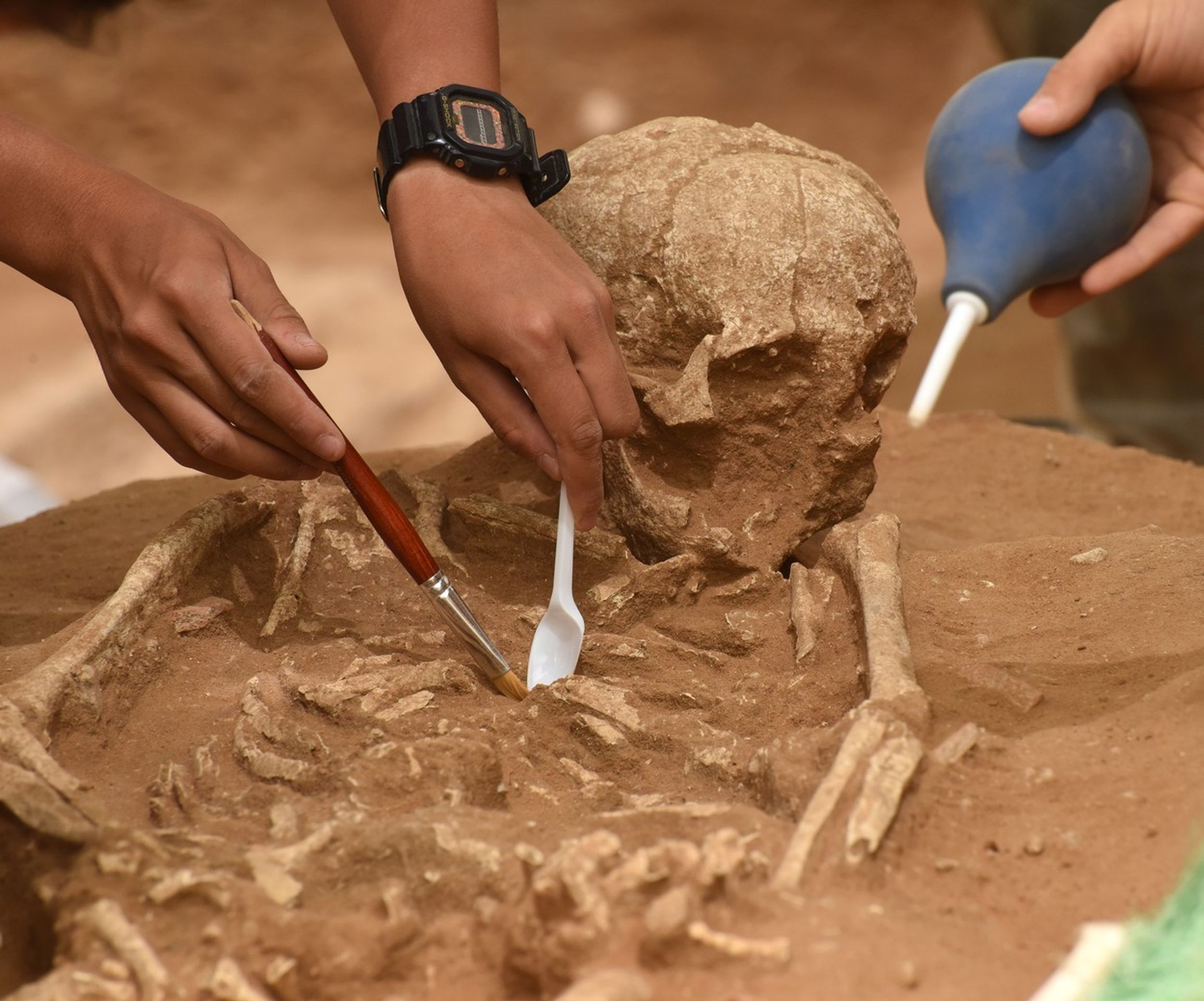 Pohřebiště Filištínů v izraelském Aškelonu - 1 - GALERIE: Archeologové objevili pohřebiště Filištínů (1/5)