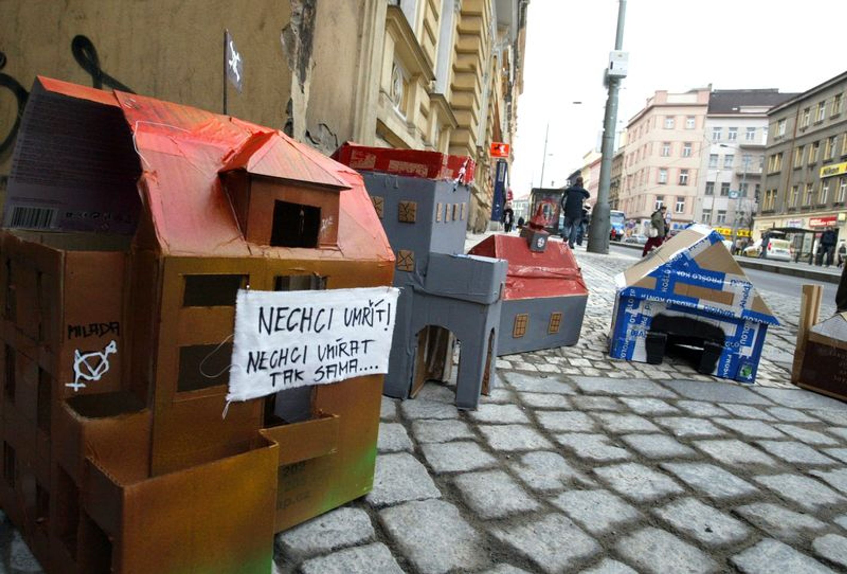 Squateři u soudu kvůli obsazení domu na Albertově-5 - GALERIE: Soud se squatery, kteří obsadili dům na Albertově (2/6)