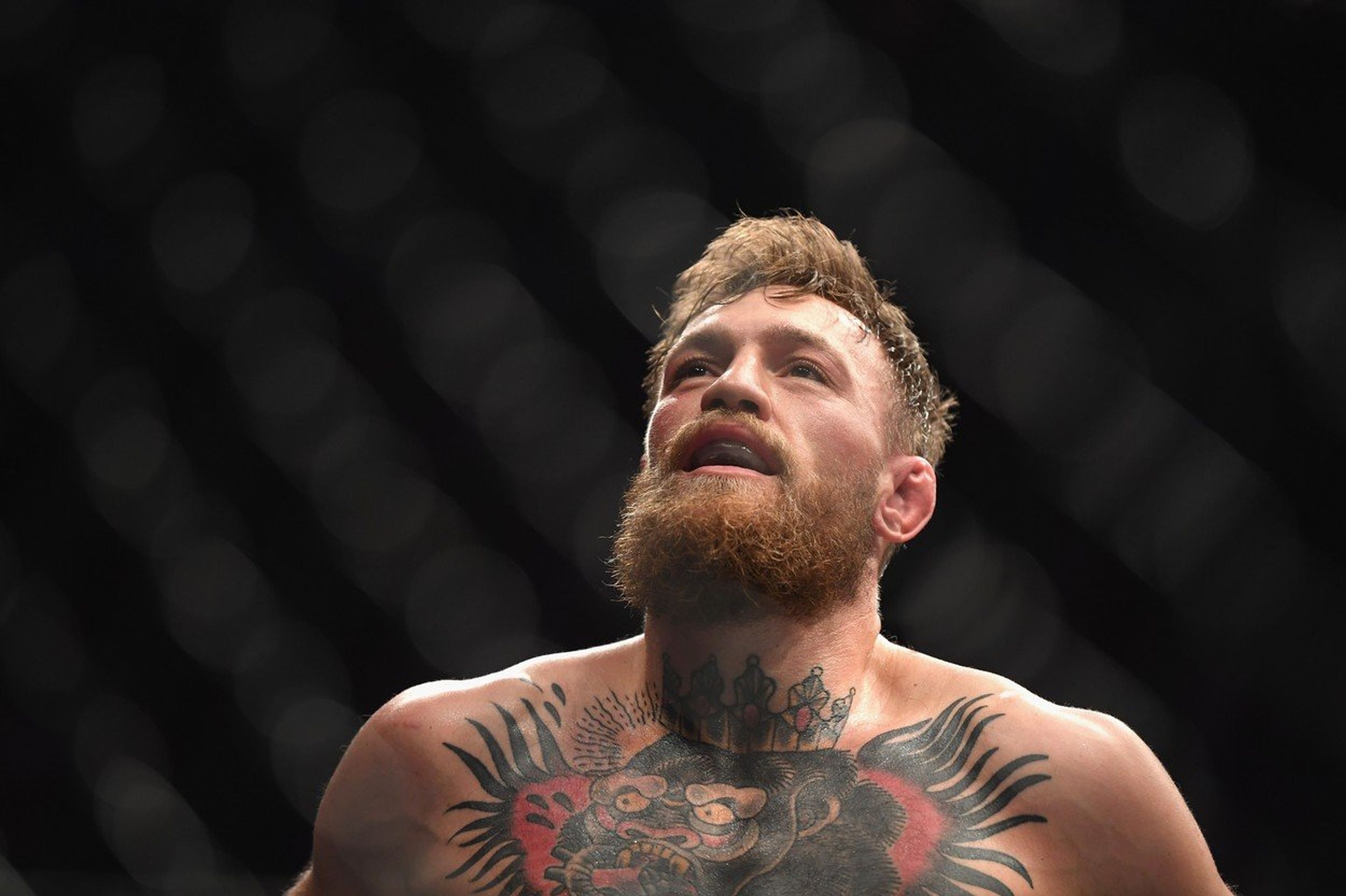 Khabib vs. Conor - GALERIE: Khabib ovládl souboj s McGregorem, pak se strhla bitka (3/4)
