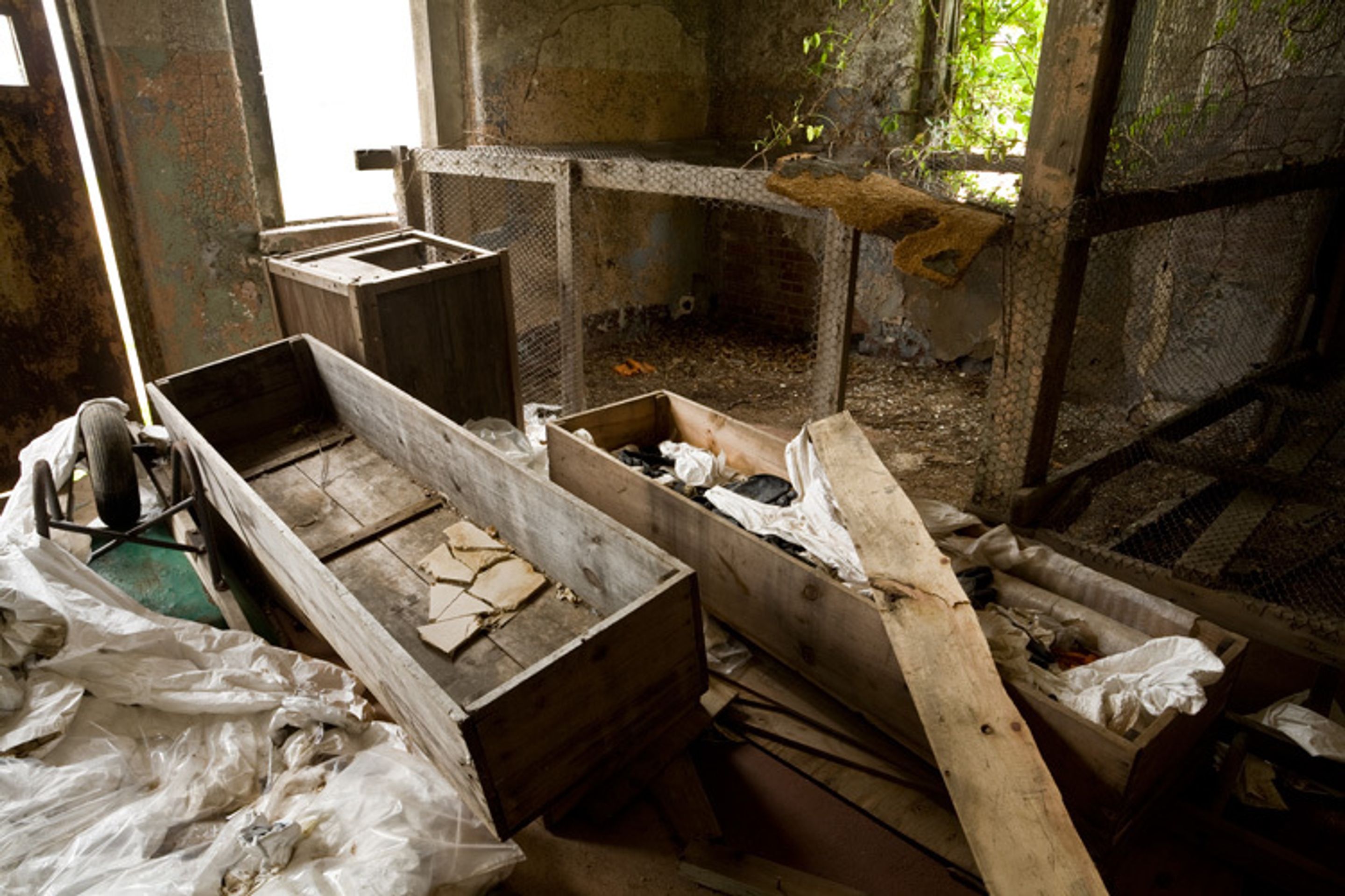 Hart Island - ostrov mrtvých - 23 - Galerie: Hart Island - ostrov mrtvých (2/24)