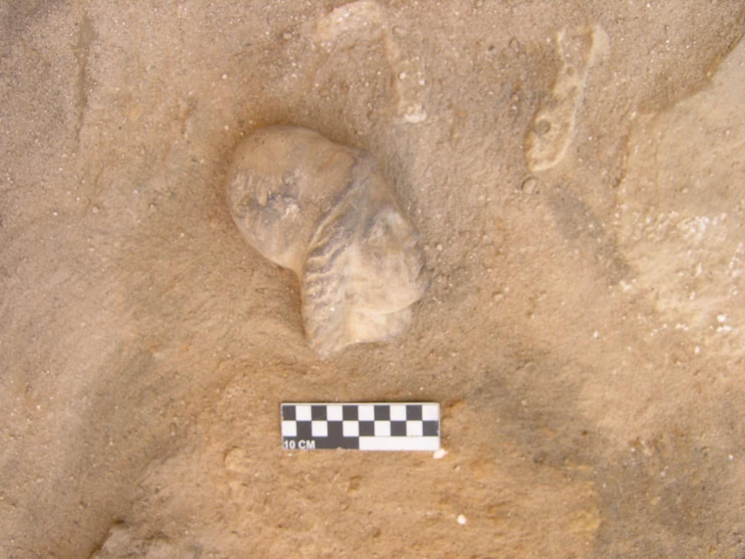 Archeologické vykopávky a nálezy - Archeologické nálezy v Egyptě (1/7)