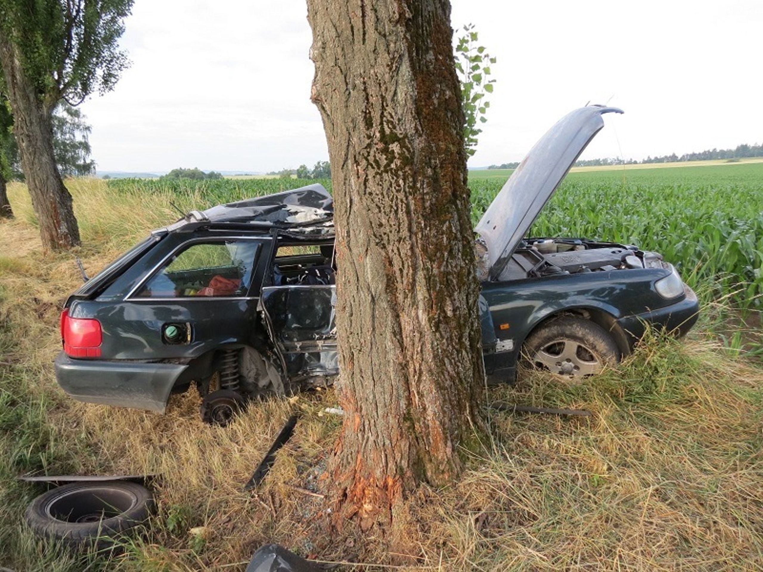 Řidič na Jindřichohradecku narazil do stromu - 3 - GALERIE: Řidič na Jindřichohradecku narazil do stromu (3/4)