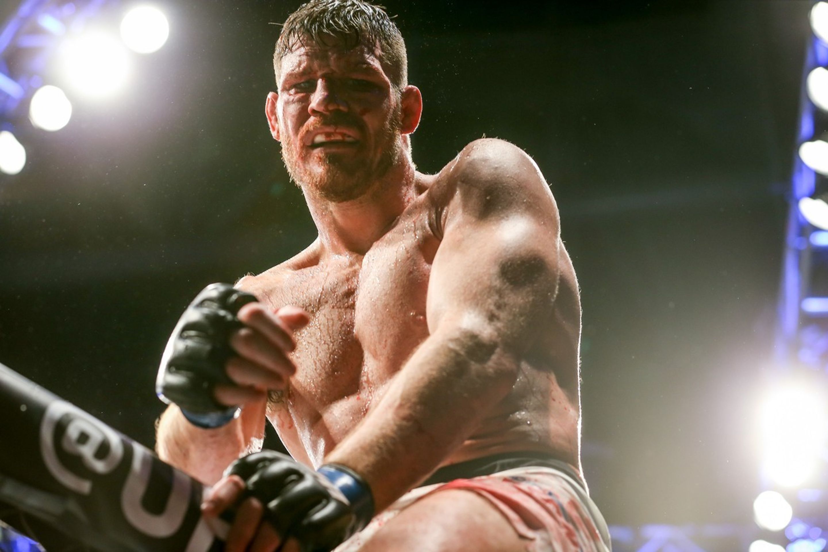 Anderson Silva vs. Michael Bisping - 7 - GALERIE: Anderson Silva vs. Michael Bisping (4/10)