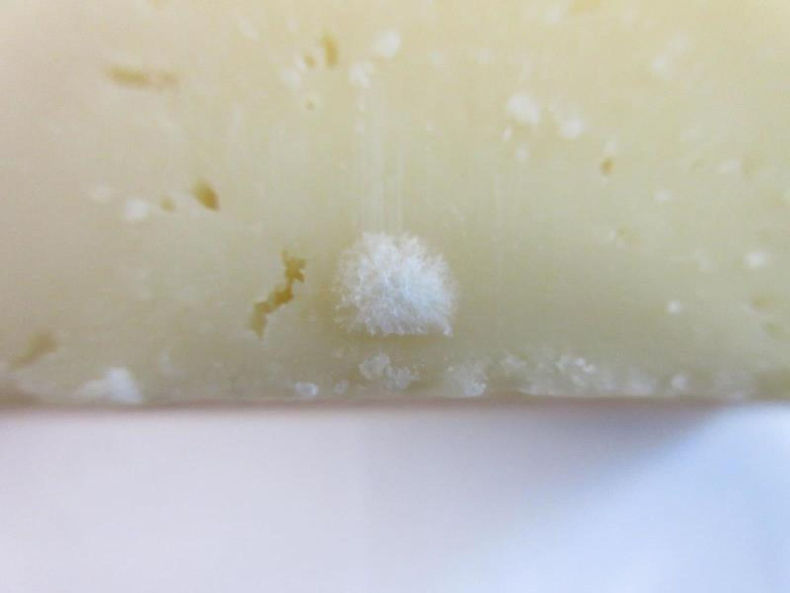 Zdraví nebezpečný sýr Grana Padano (4) - Zdraví nebezpečné sýry (8/15)
