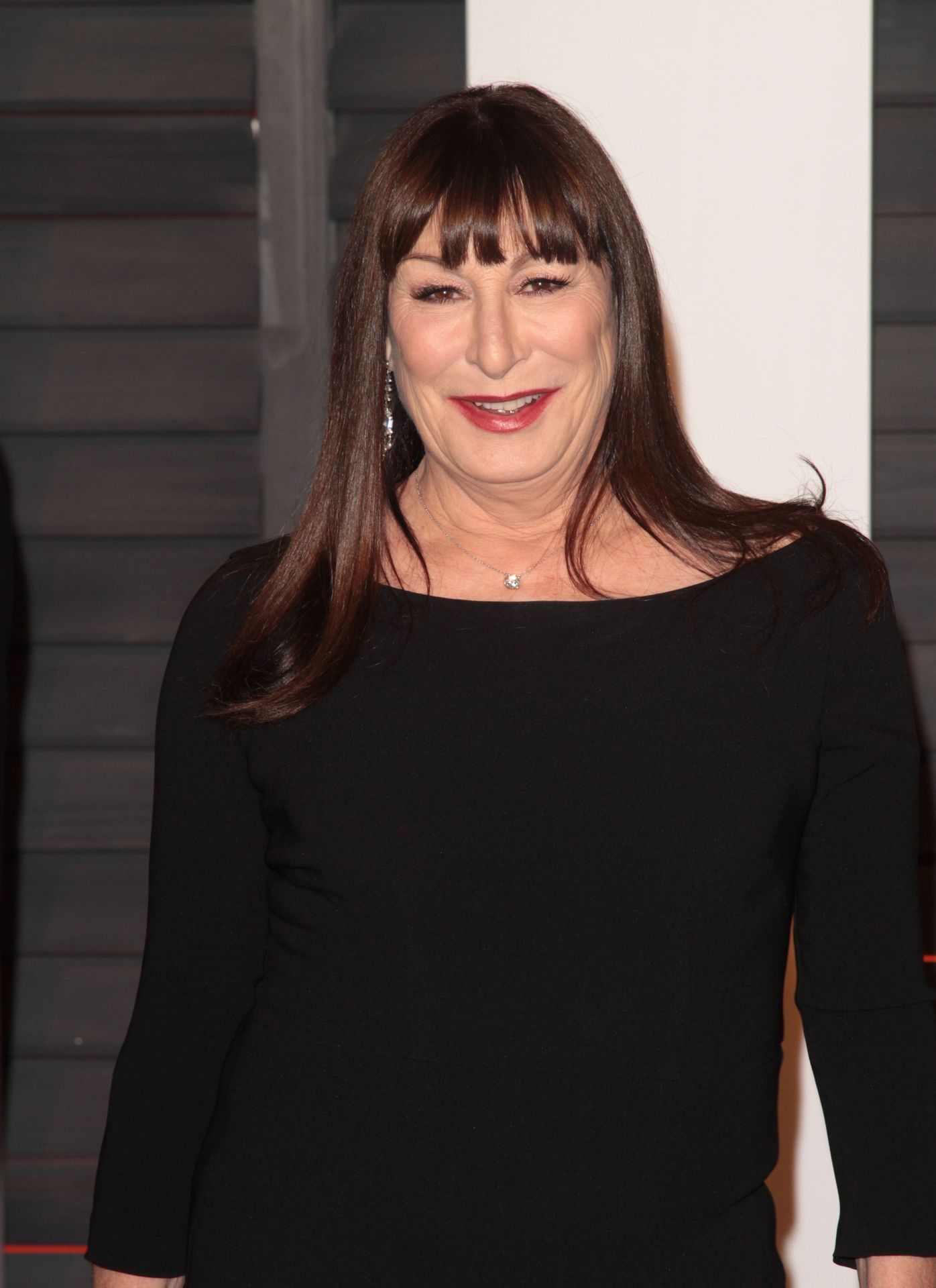 Anjelica Houston - 3 - Galerie: Morticia po letech (2/4)
