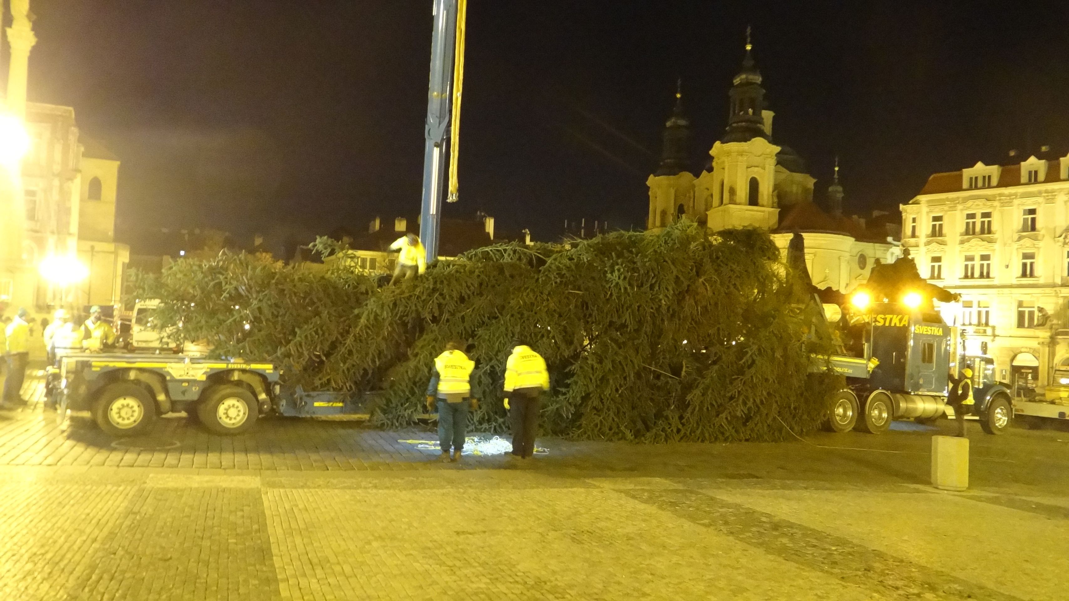 Strom přijel tradičně noblesním tahačem - GALERIE: Vánoční strom dorazil do Prahy (3/7)