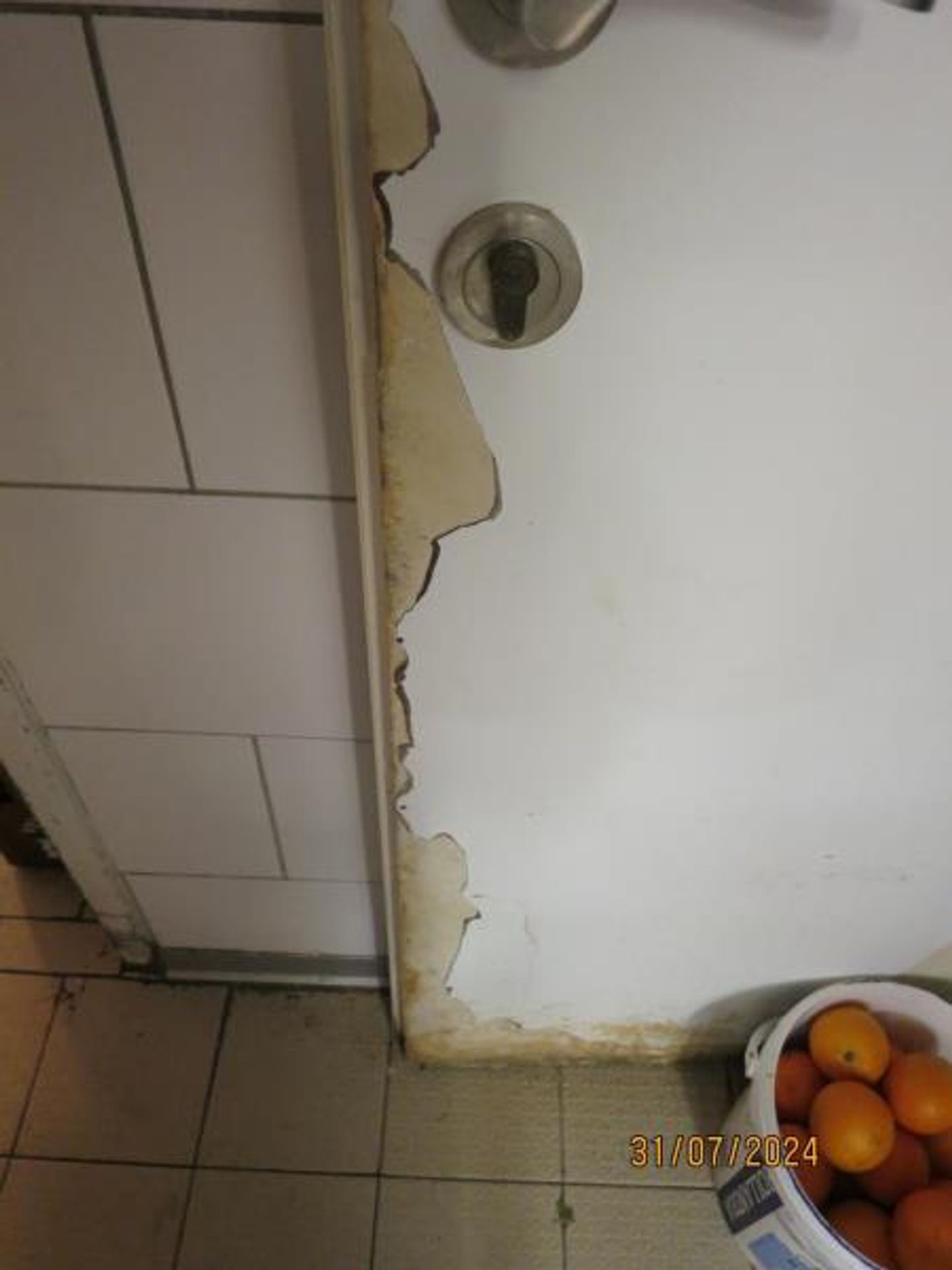 Kontrola odhalila nevyhovující hygienické podmínky v pražské pekárně - Kontrola odhalila nevyhovující hygienické podmínky v pražské pekárně (7/11)