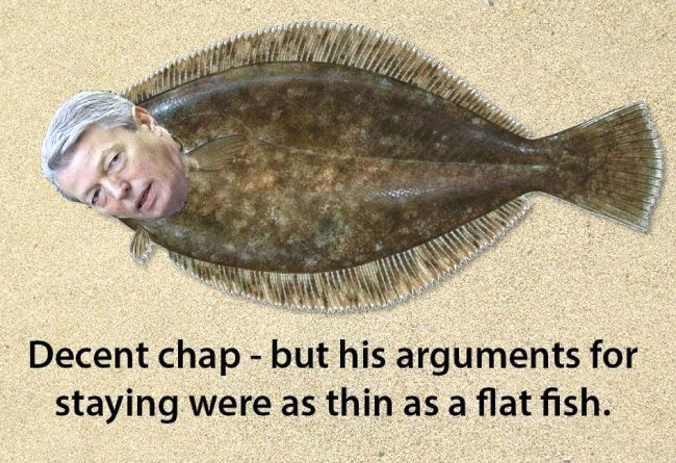 Vtipy na Brexit - 11 - GALERIE: Vtipy na Brexit (10/22)
