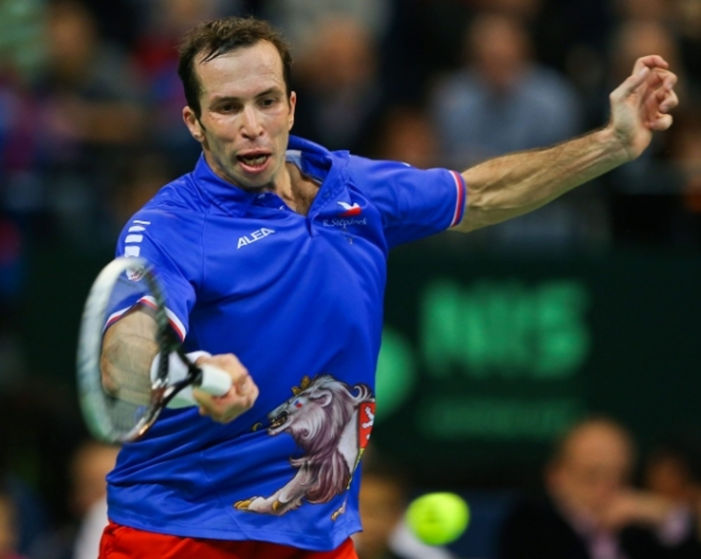 Radek Štěpánek - Novak Djokovič (finále Davis Cupu) - 6 - GALERIE: První den finále finále Davis Cupu (3/12)